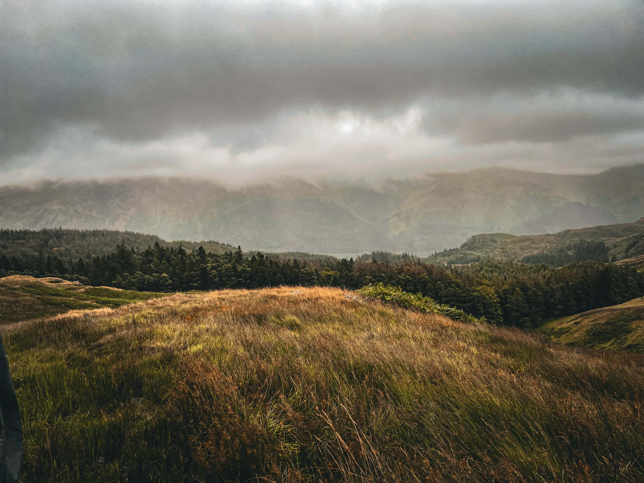 Whispers Before the Storm