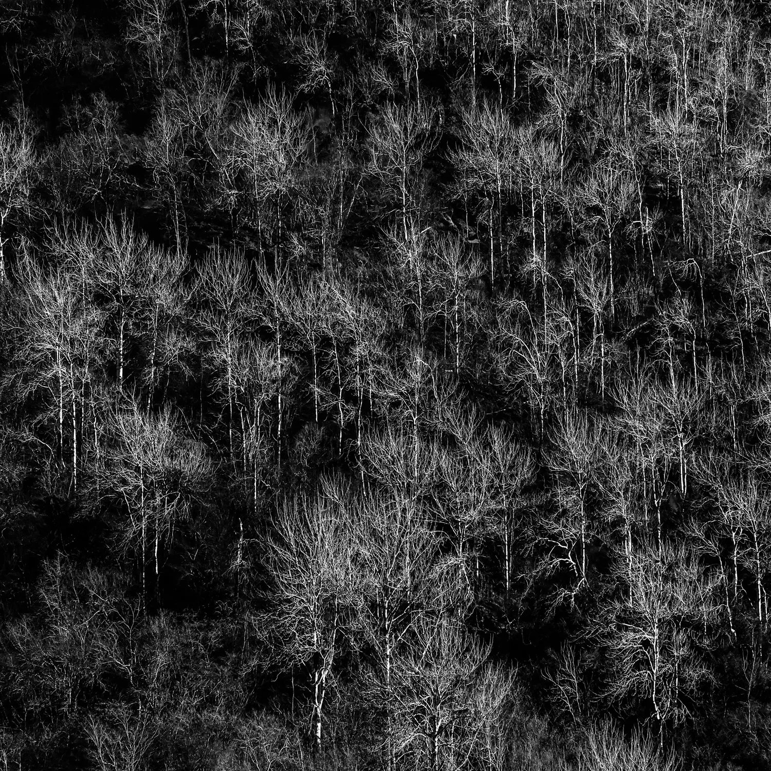 Abstract Landscapes (not urban landscapes)