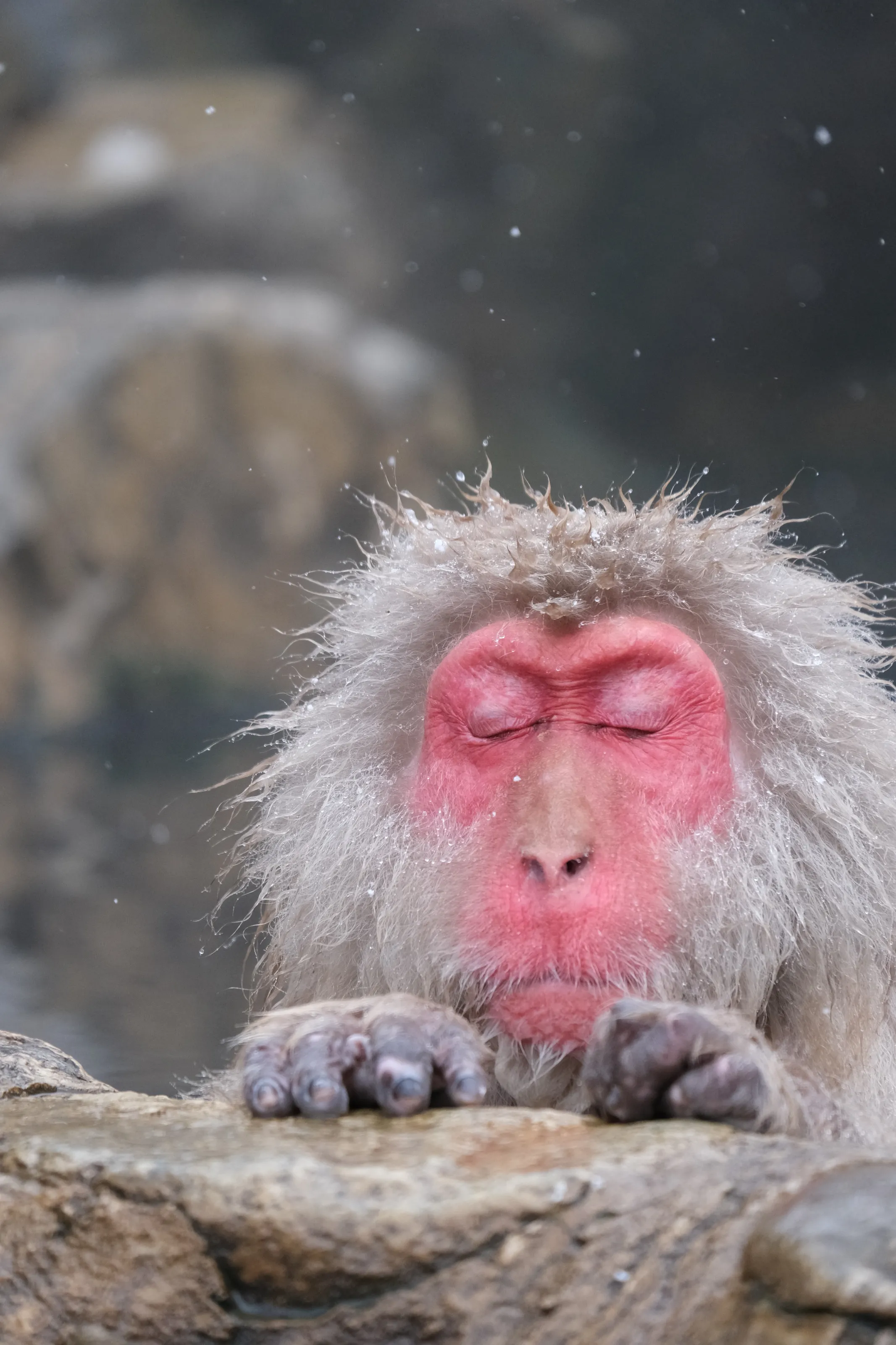 Winters Bath