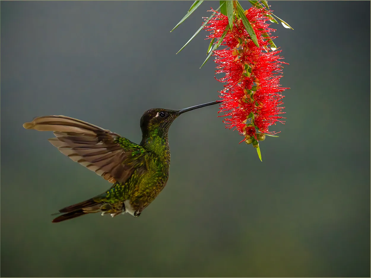 Entry 27691695