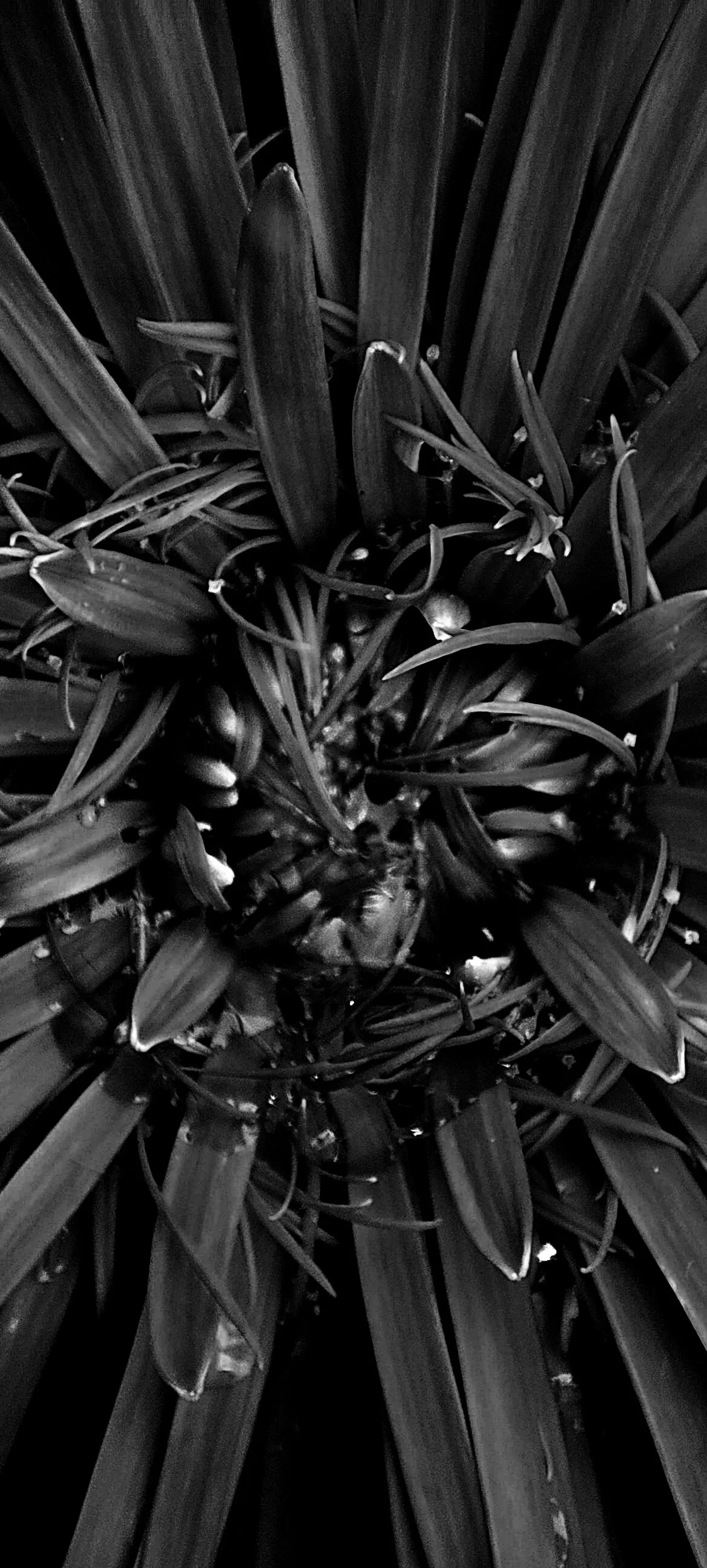 Macro Abstracts