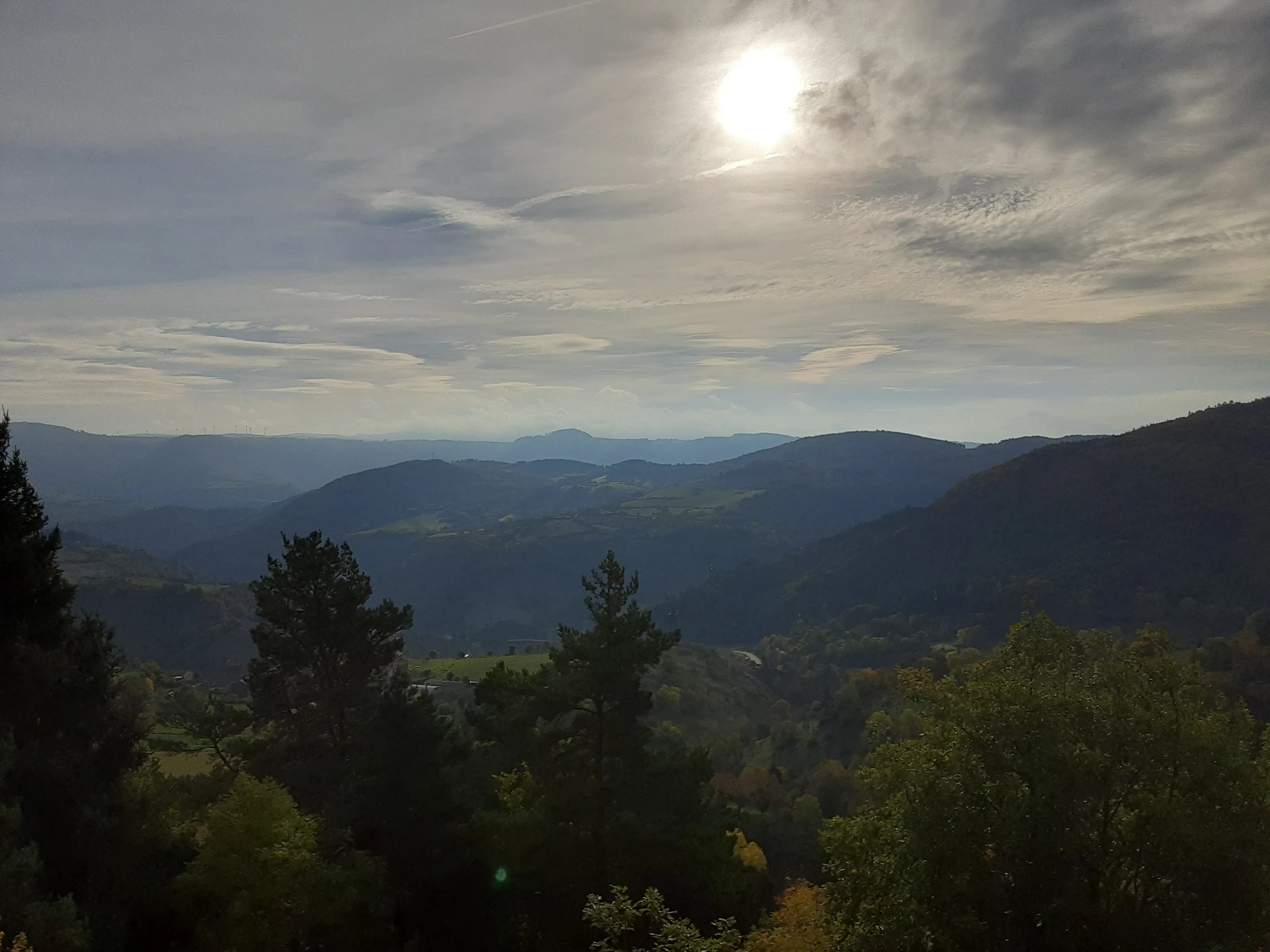 Camino Landscape