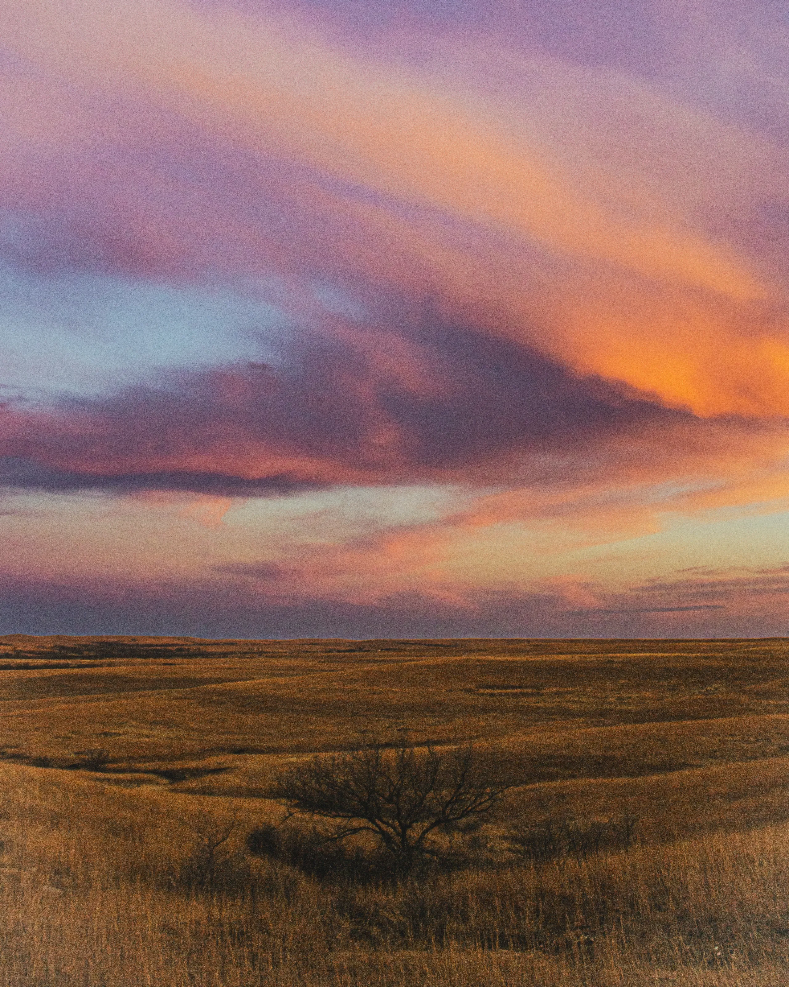 Painted Sunset