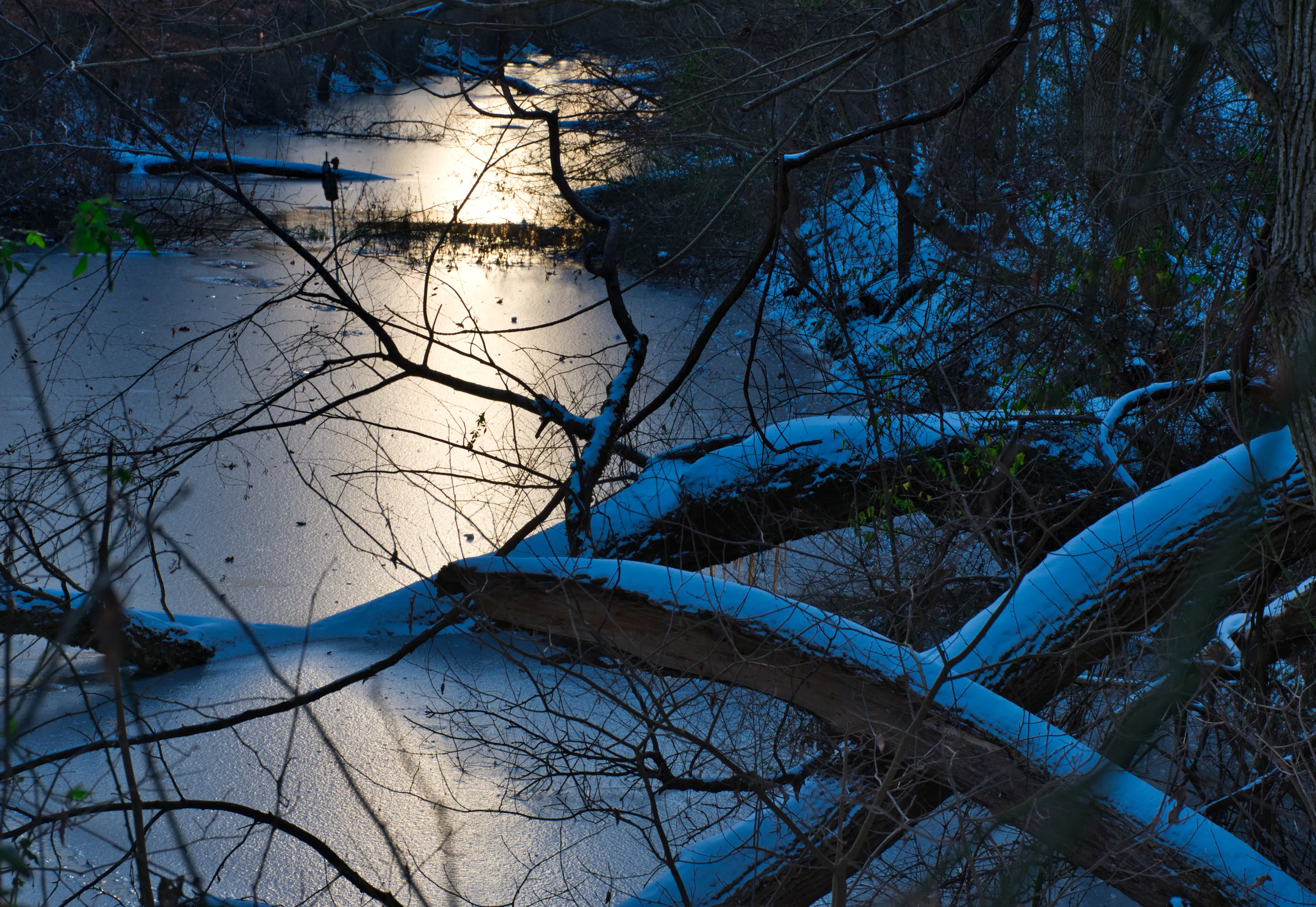 Dawn after the Snowfall