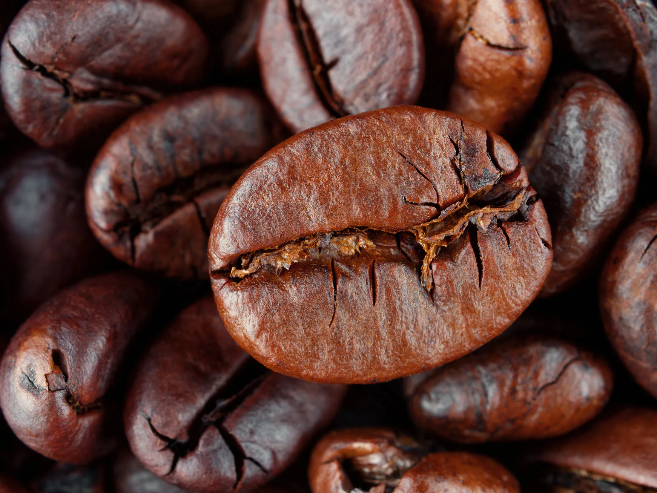 • Cracked Coffee Beans •