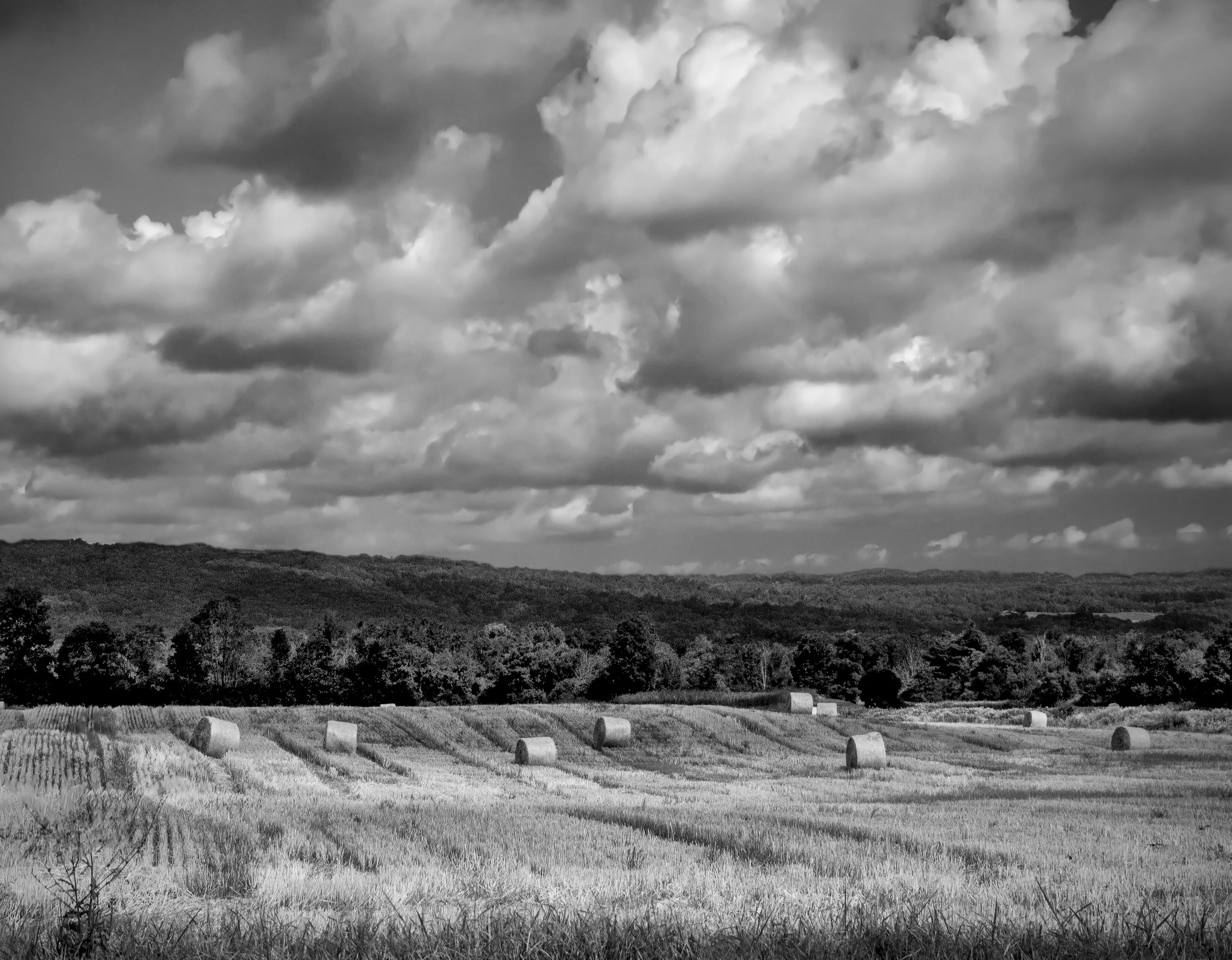 Make Hay When the Sun Shines
