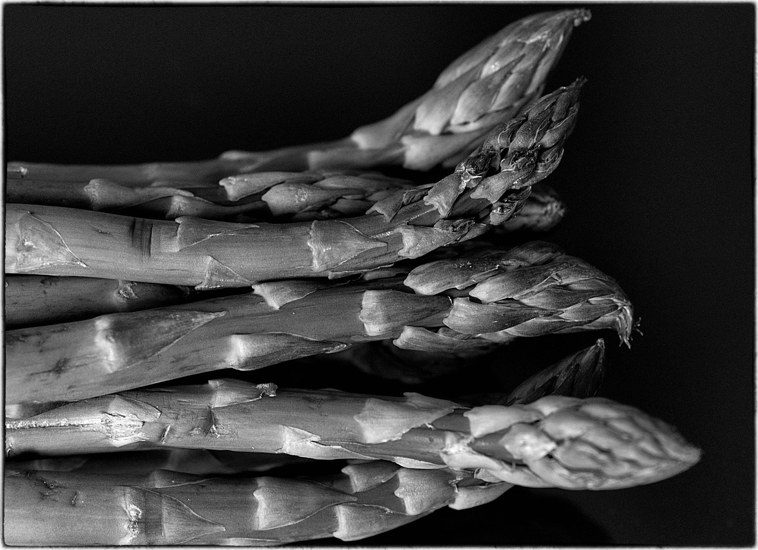 Food in Black and White