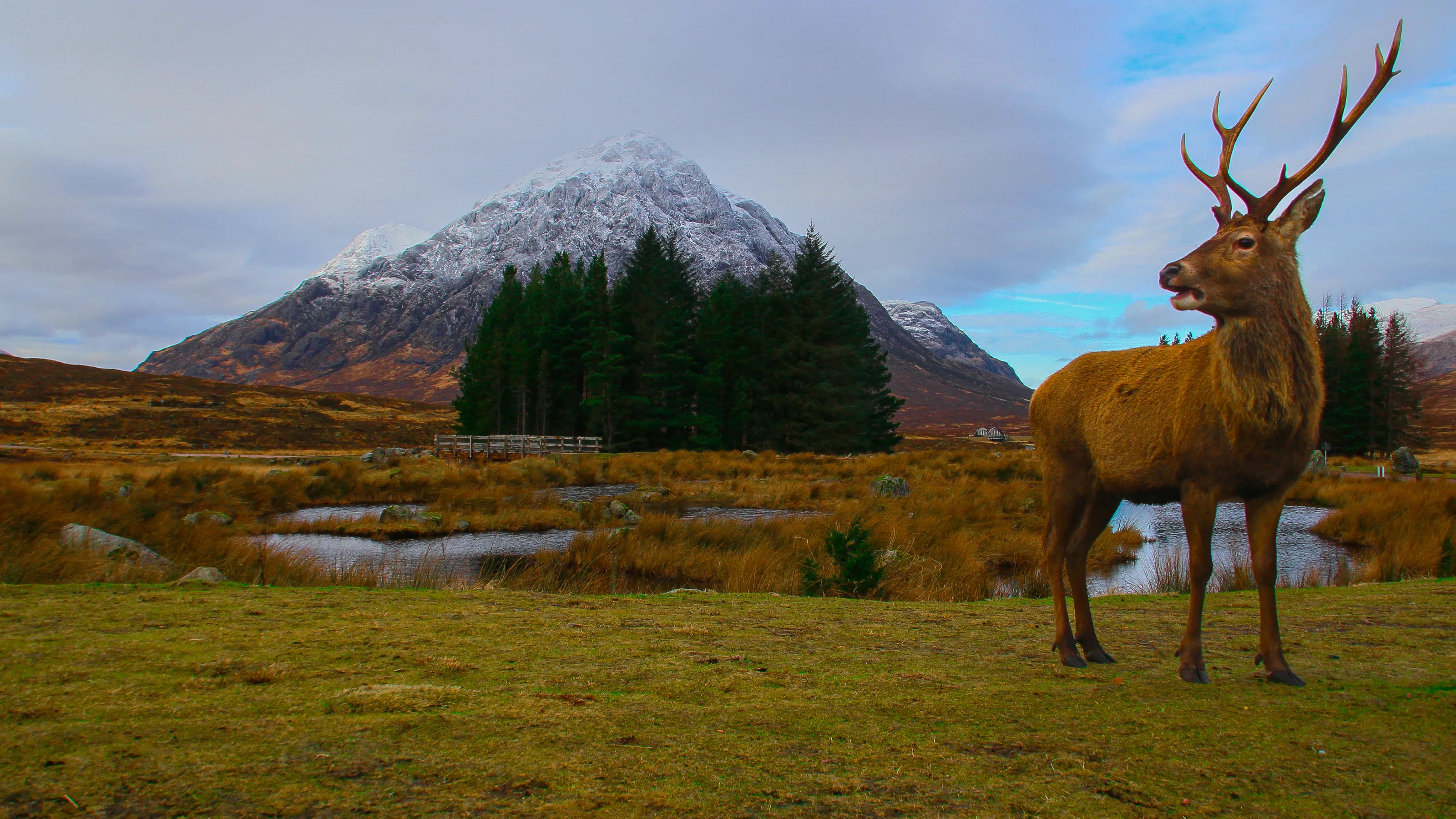 Scottish highlands