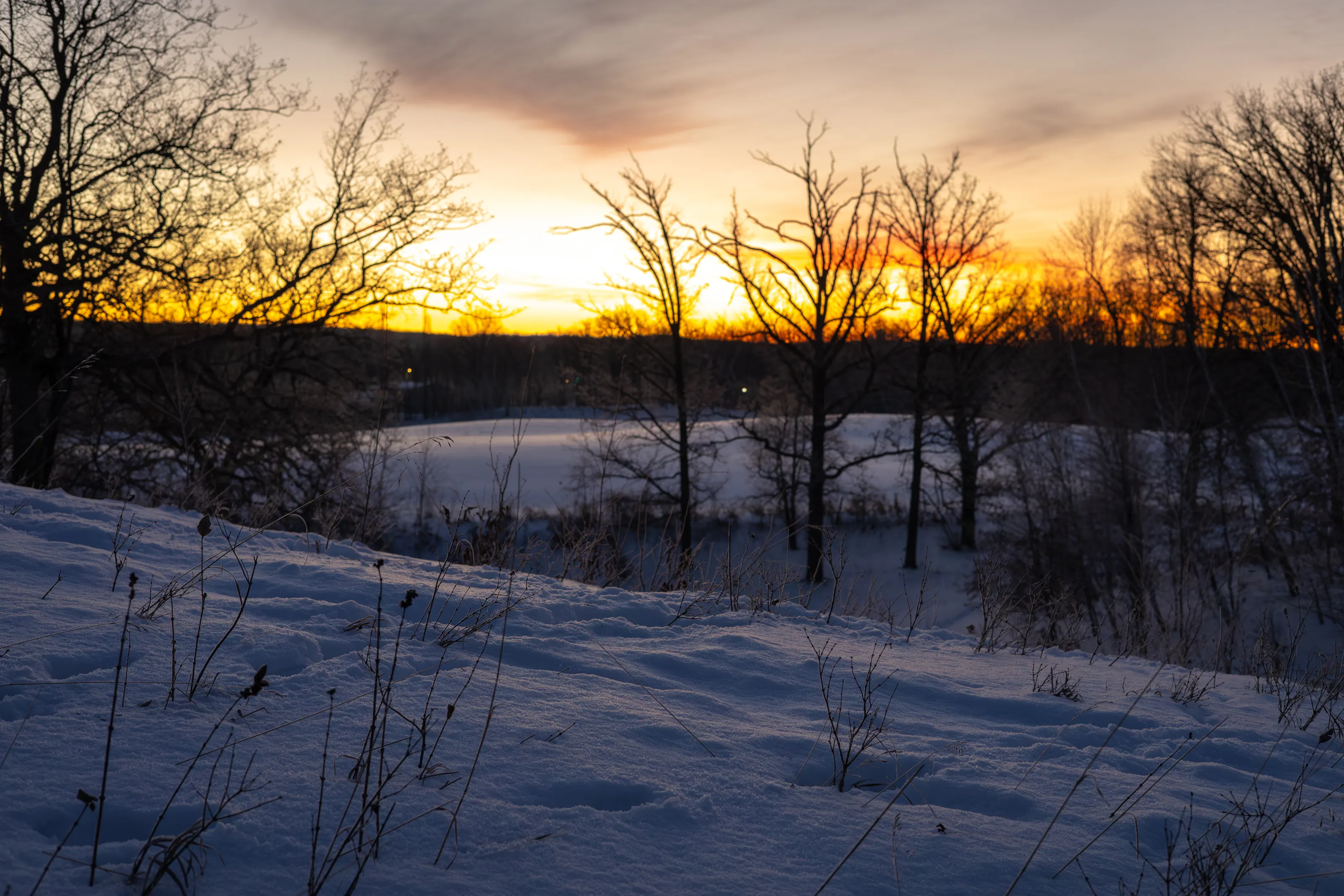 snowy morning