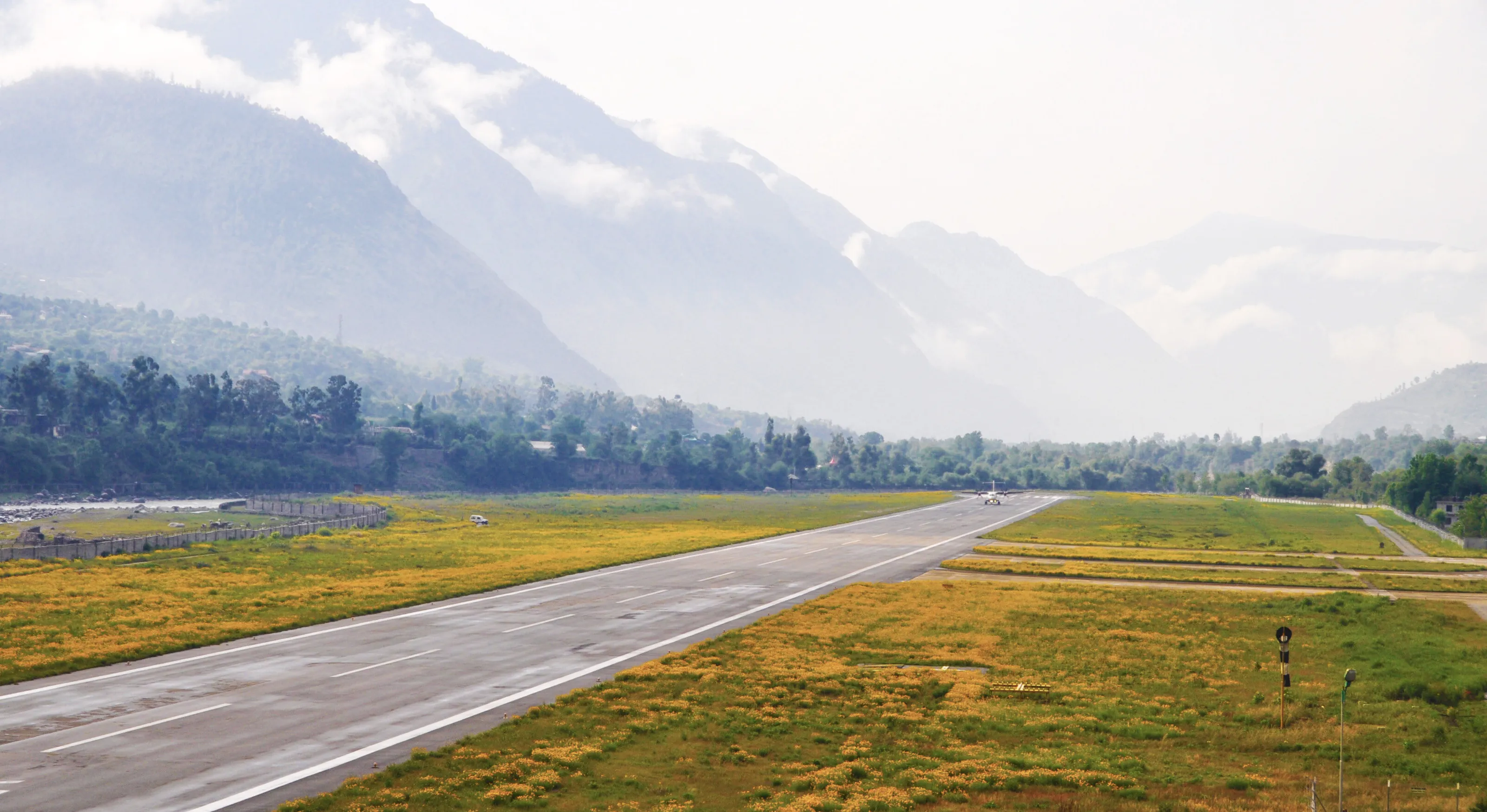 Flight Landing on the valley of flower