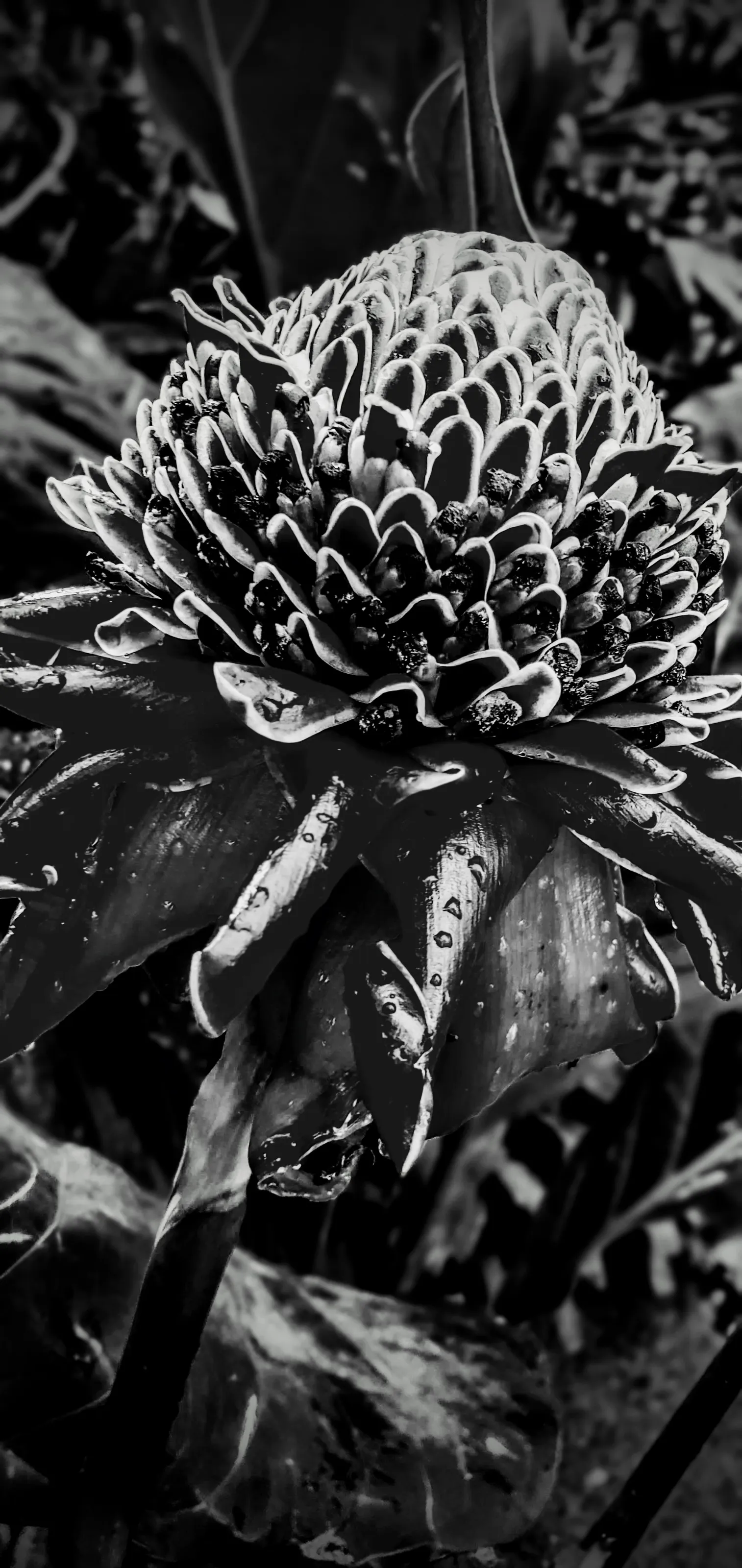Hidden in the gardens