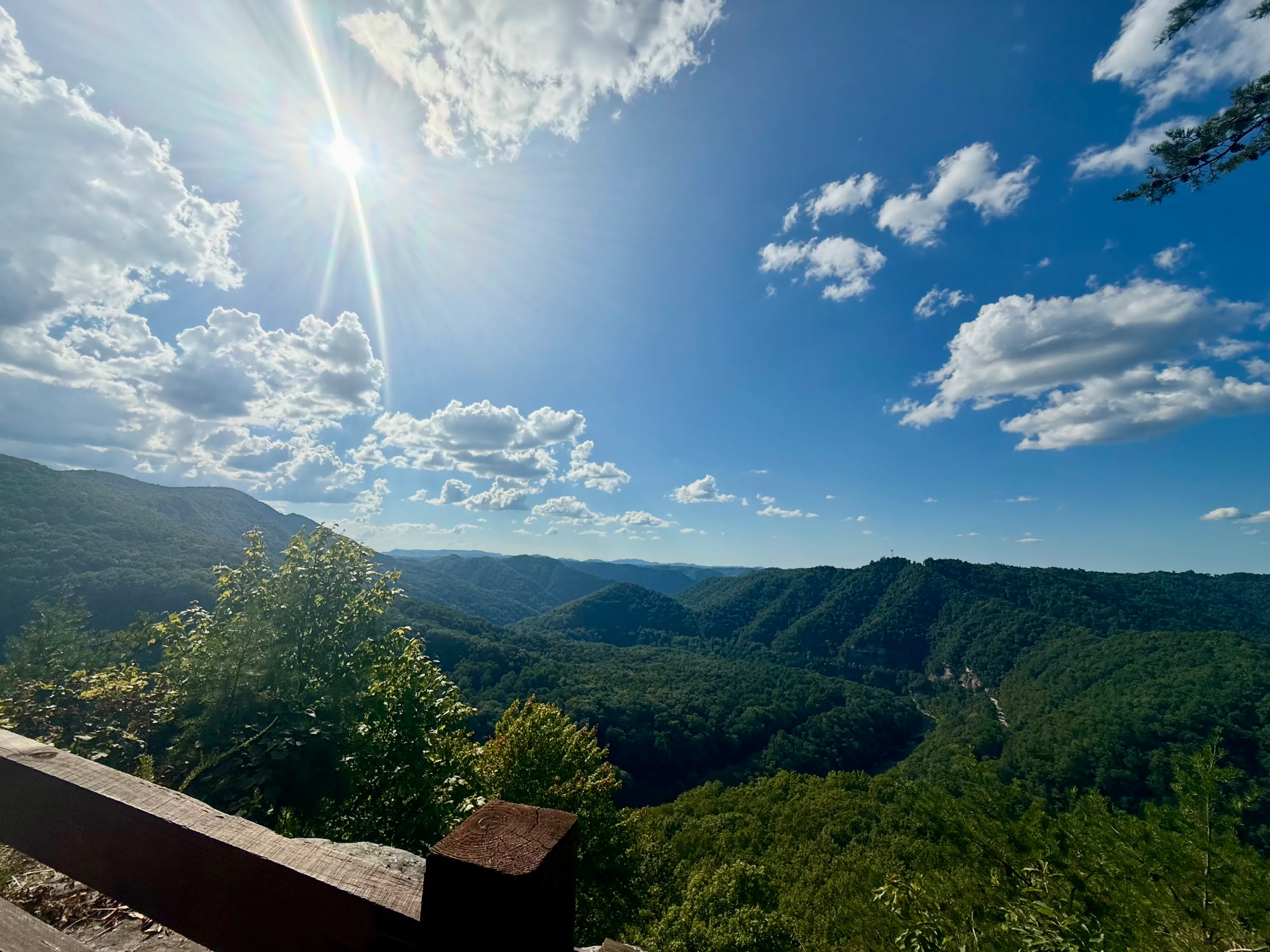 Mountain Majesty