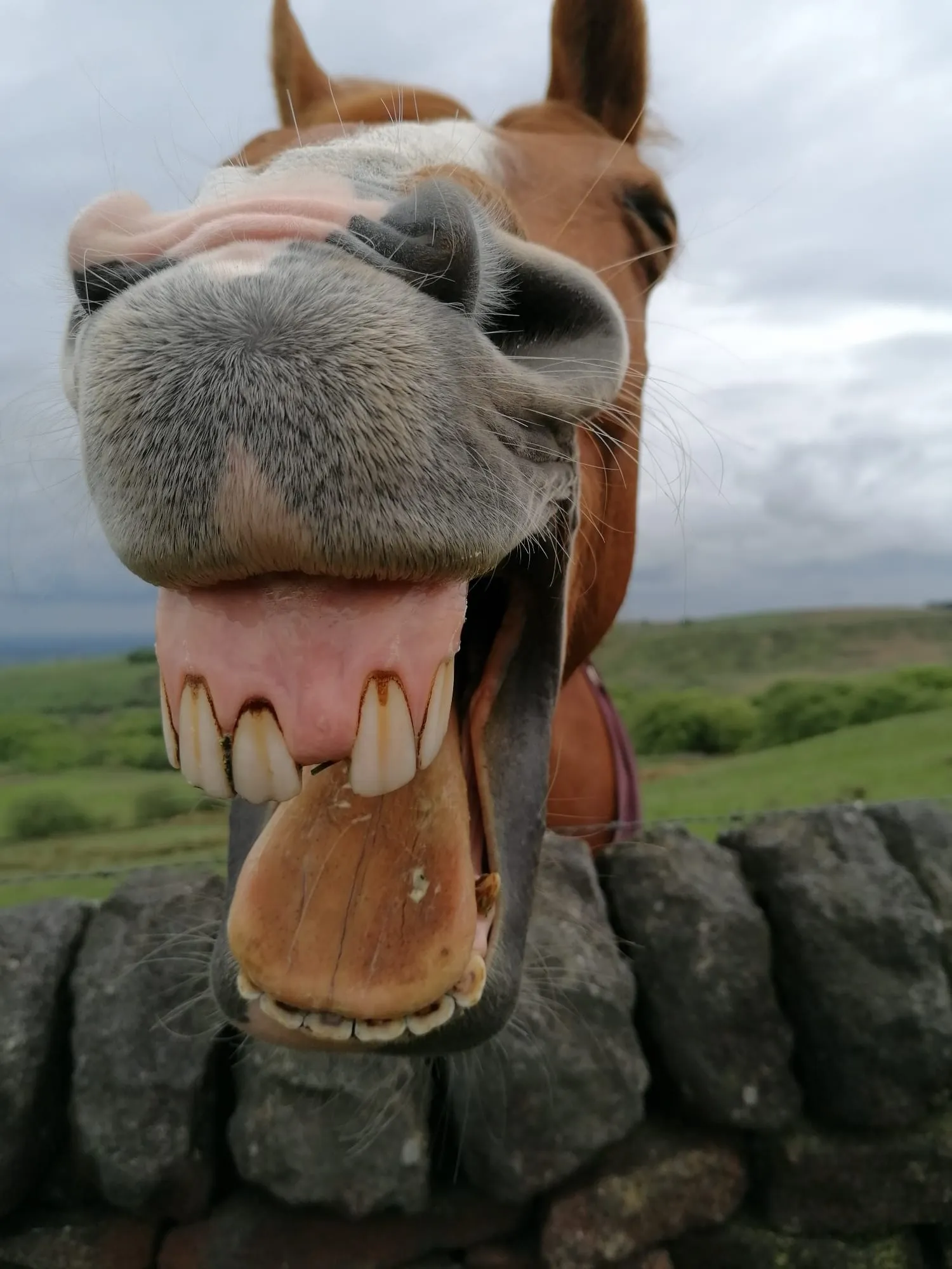 Smile please