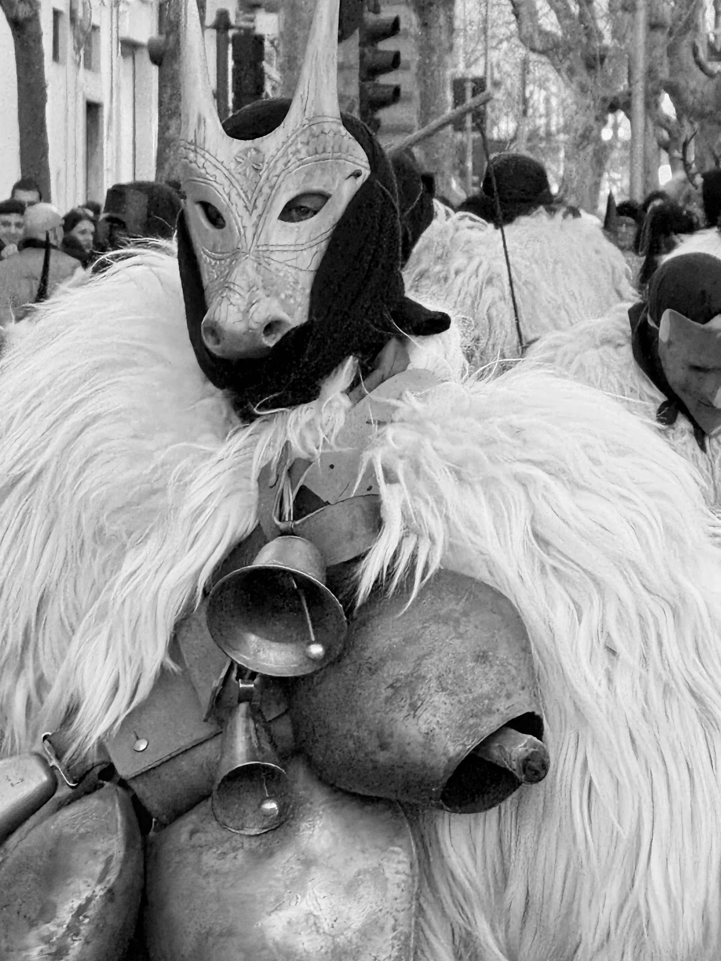 The Echo of Ancestors