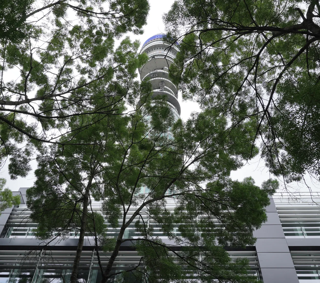 Entry 27807900