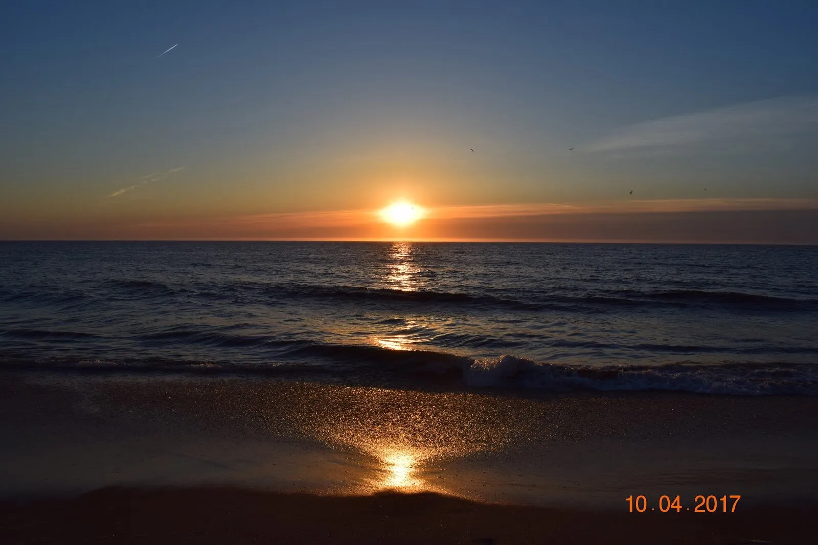 Beach Life