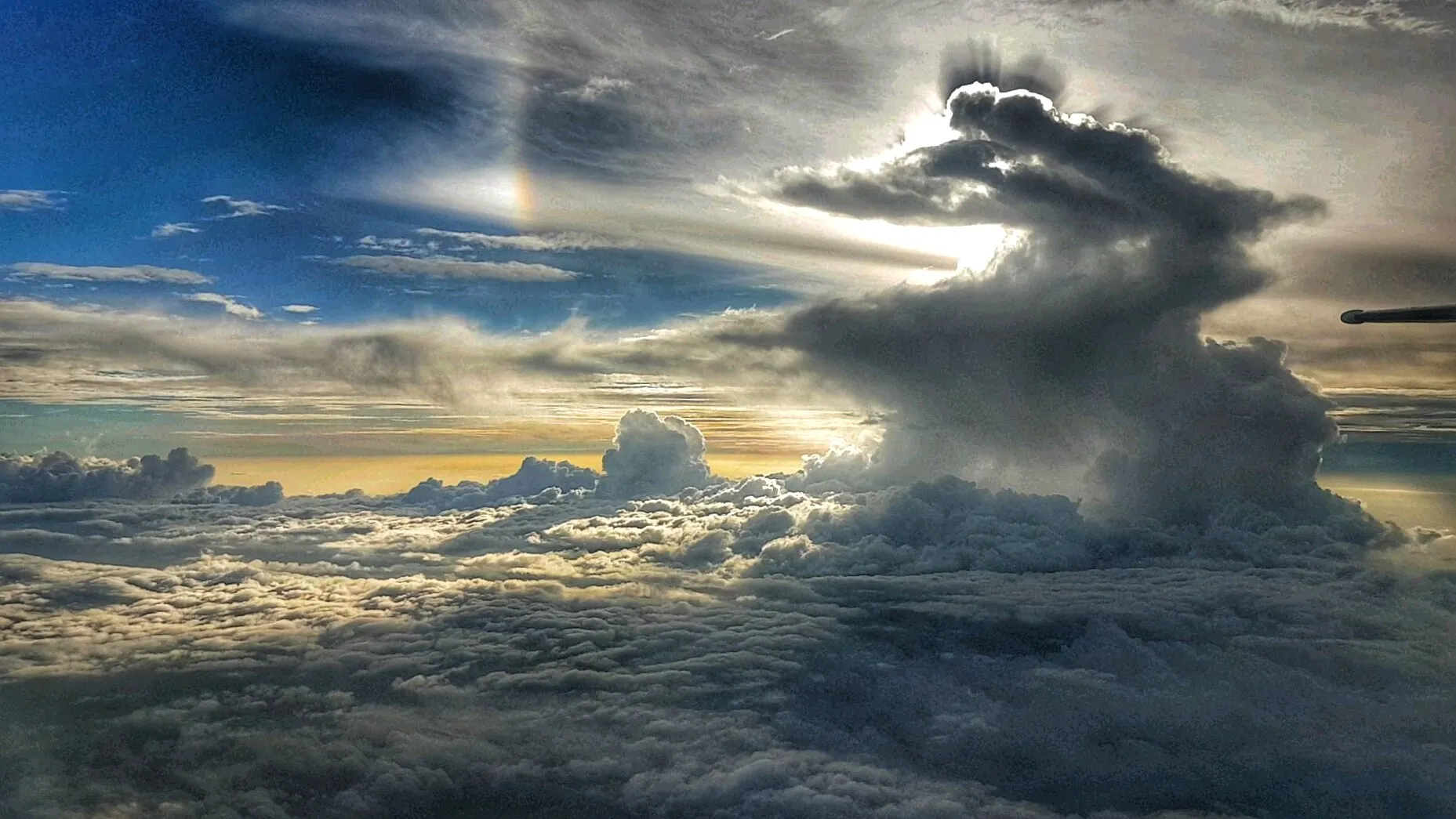 When cookie monster take over the skies
