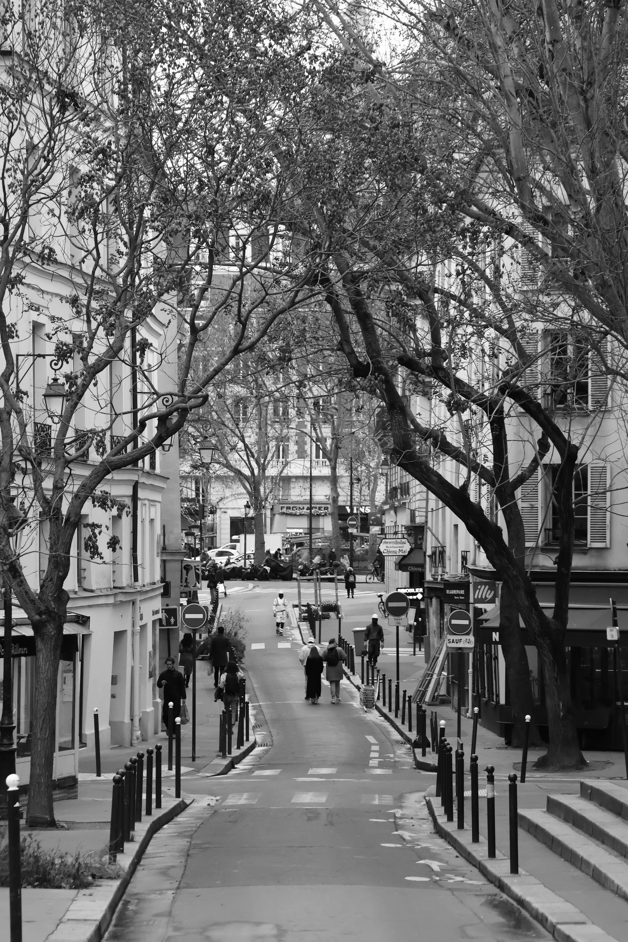 Parisian Street