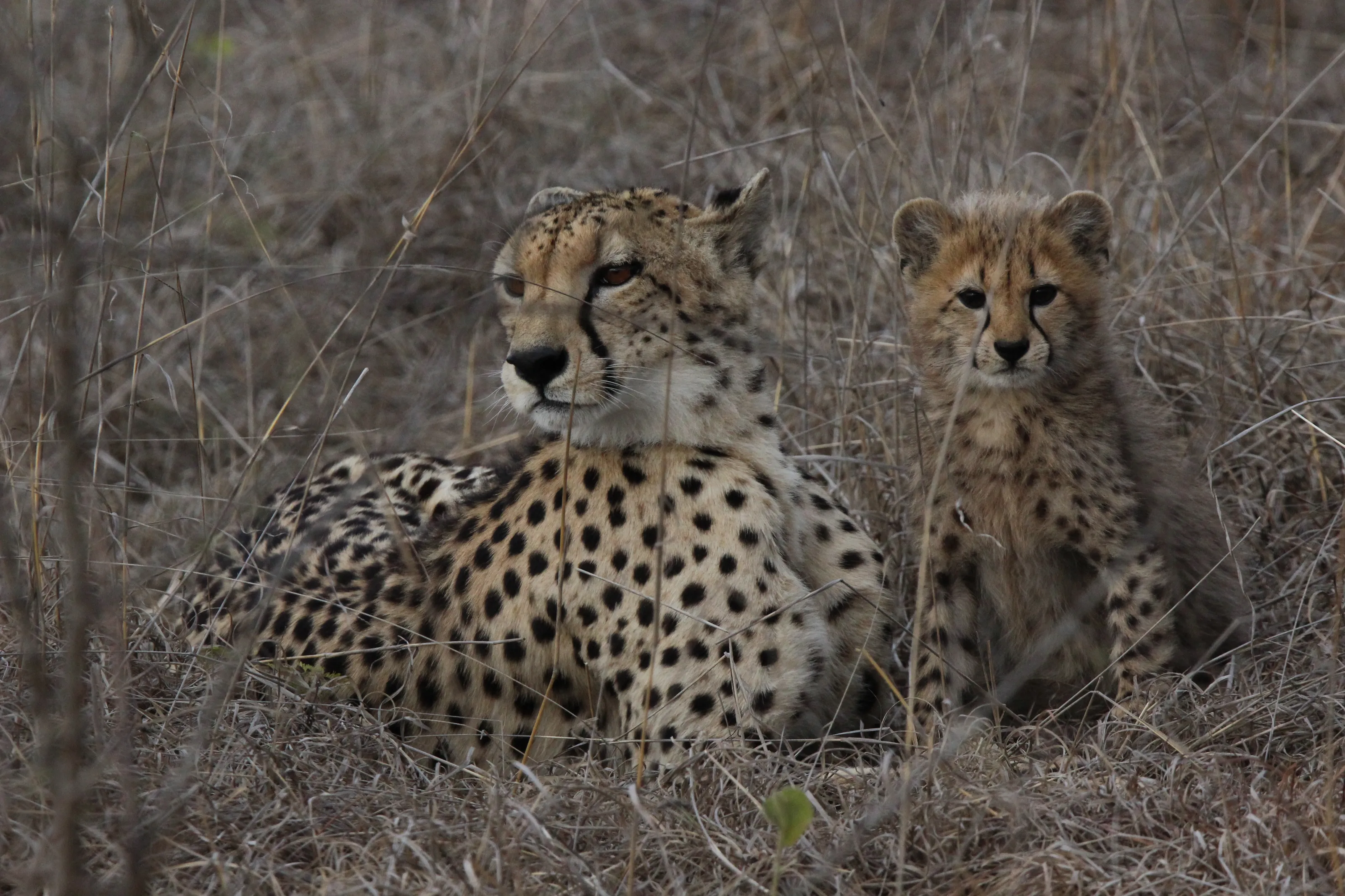 mother and baby relaxing -South Africa