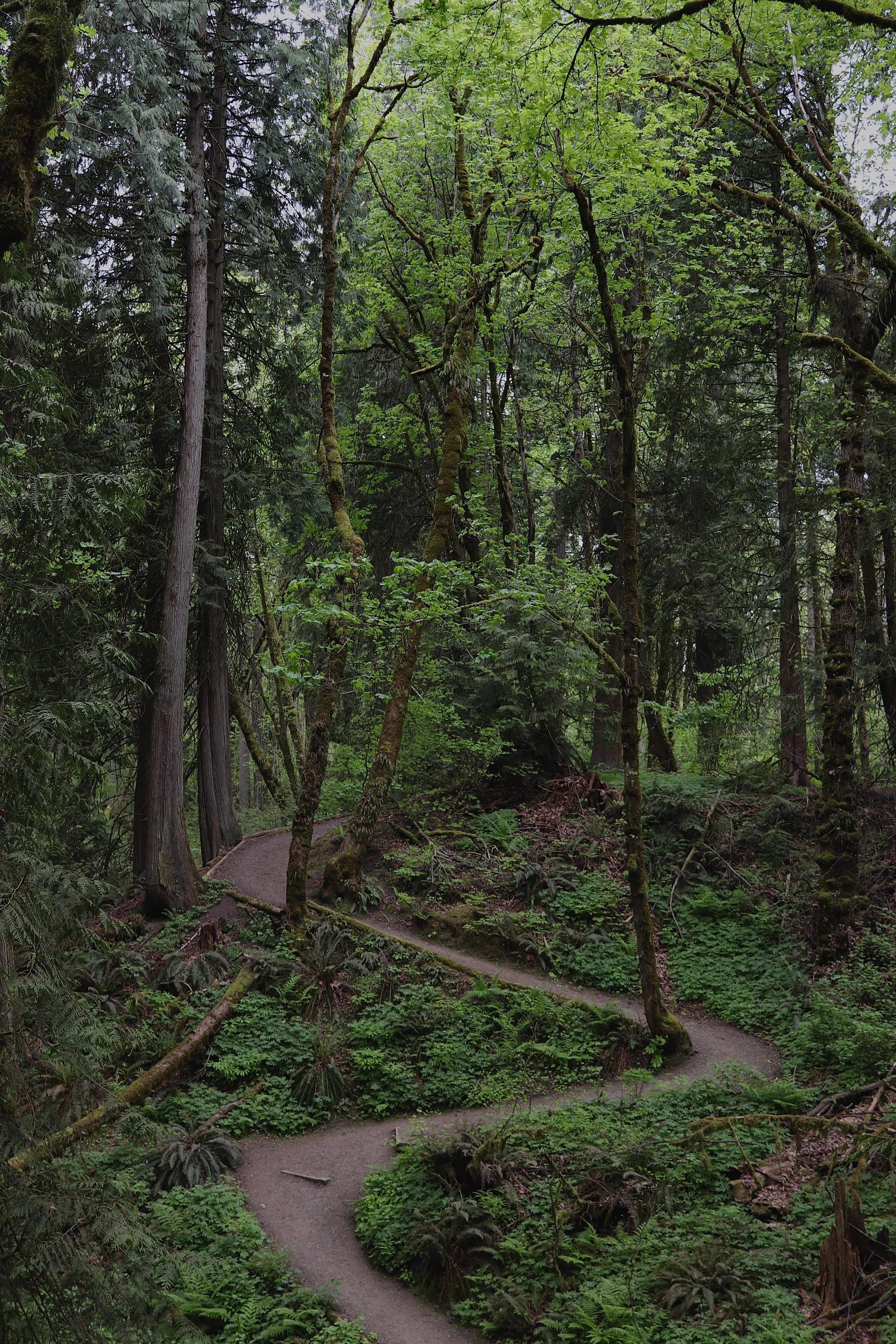 Switchback