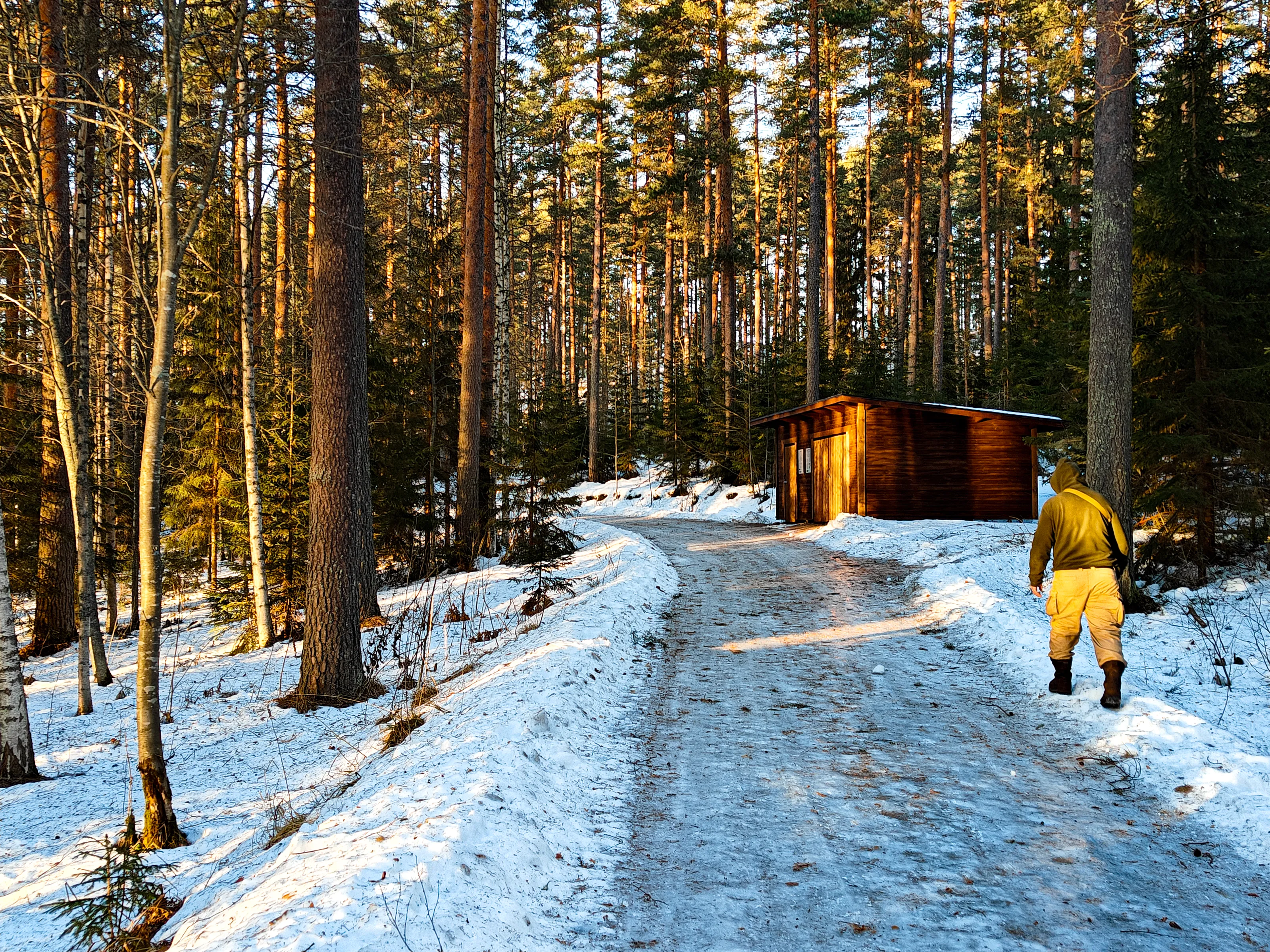 Cabin in the woods, Jyväskylä, Finland