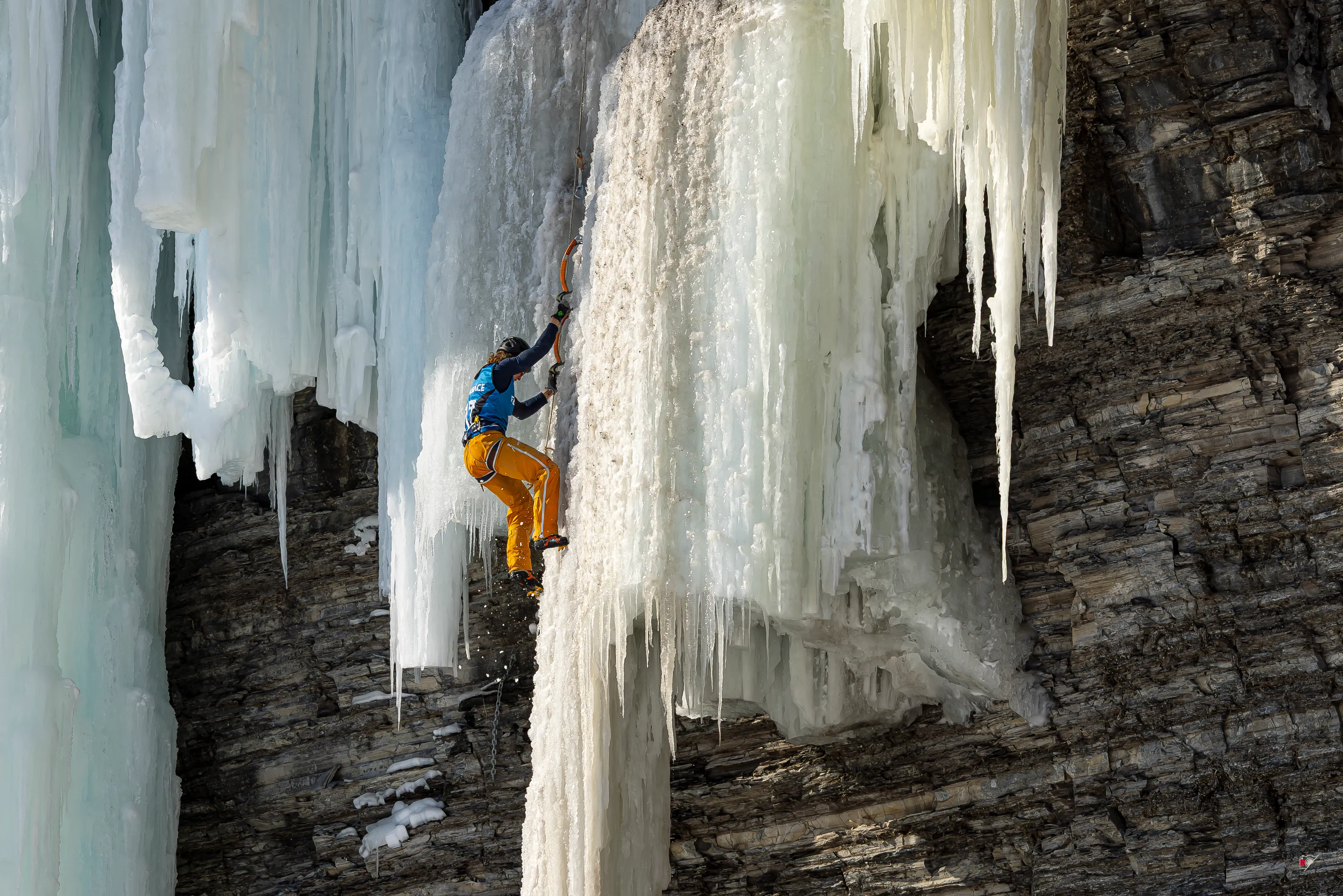 Festiglace