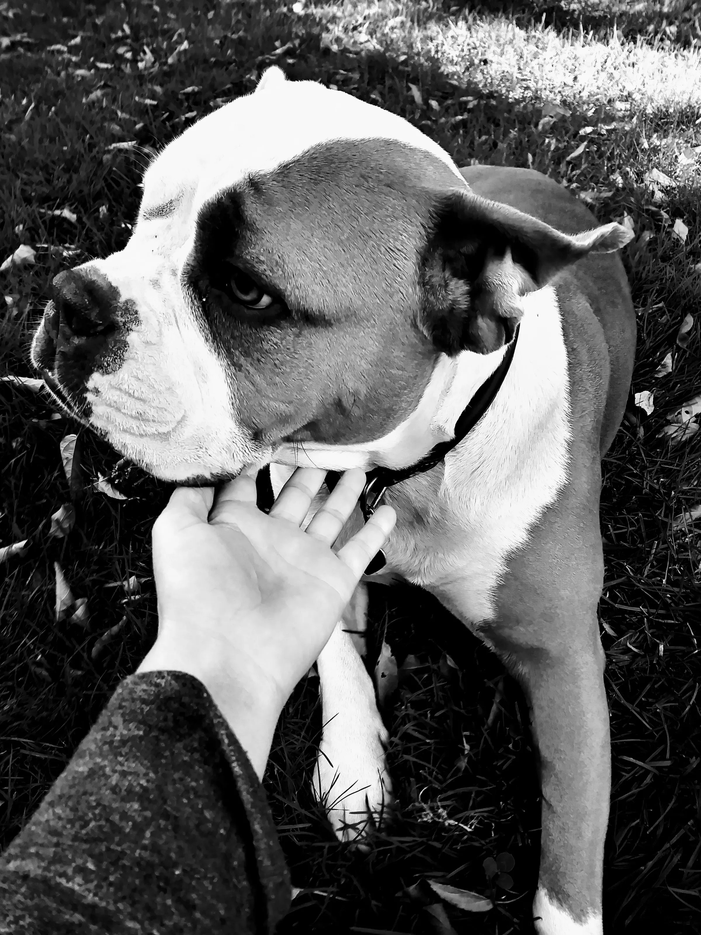 Unbreakable Bond