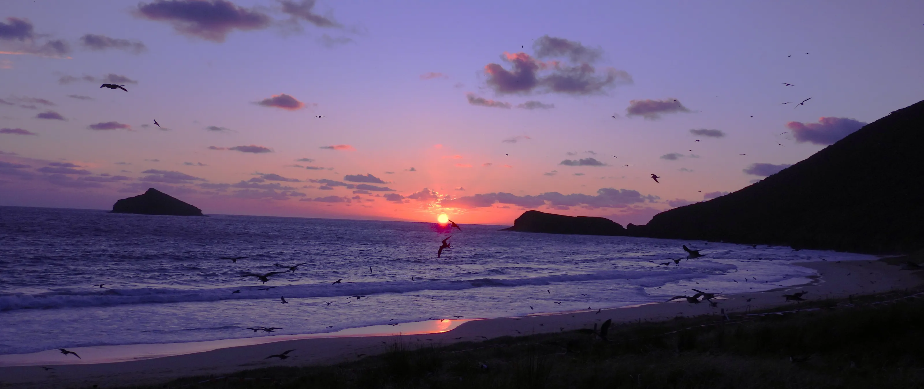 Blinky Beach Sunrise