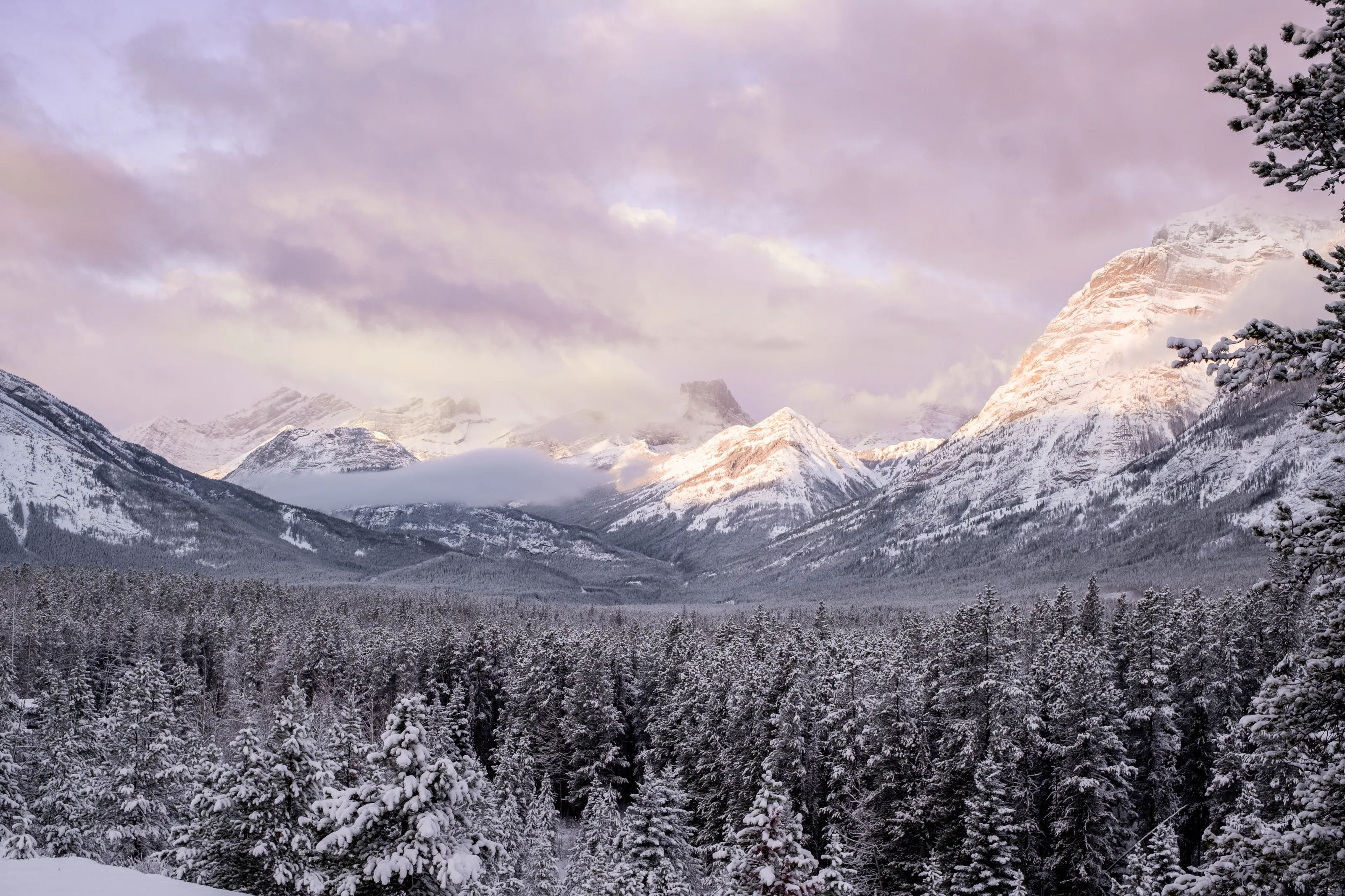 Winter Bliss