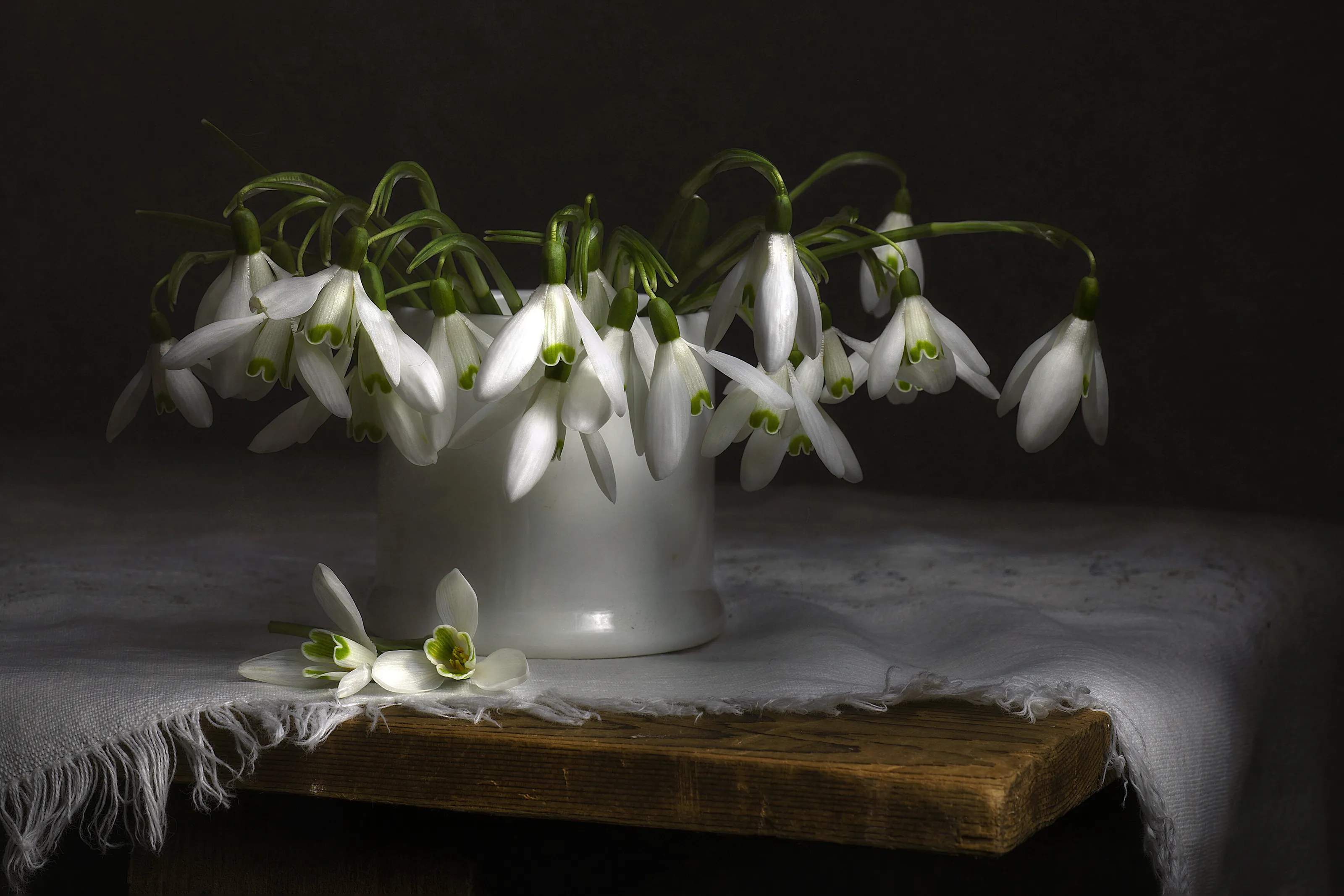 Snowdrops