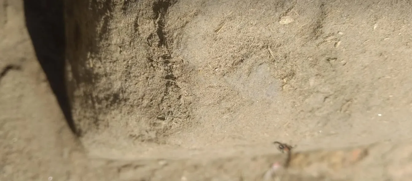The muddy stone