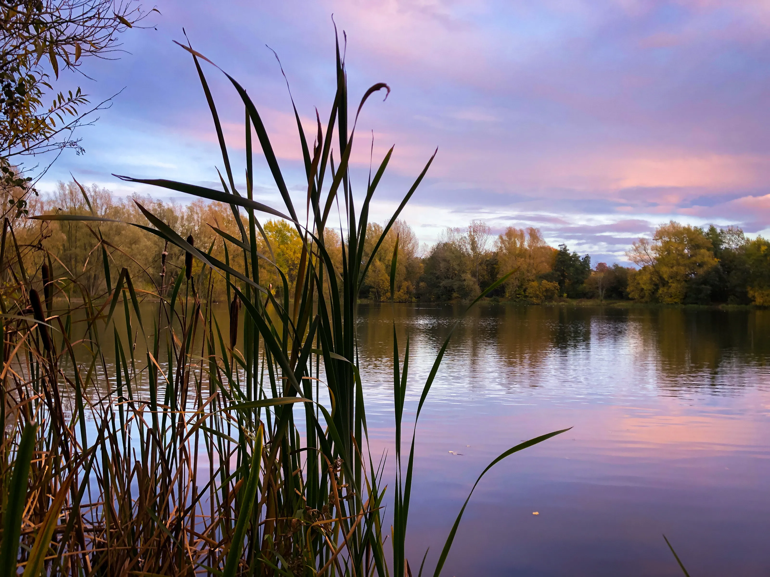 Serenity Lake