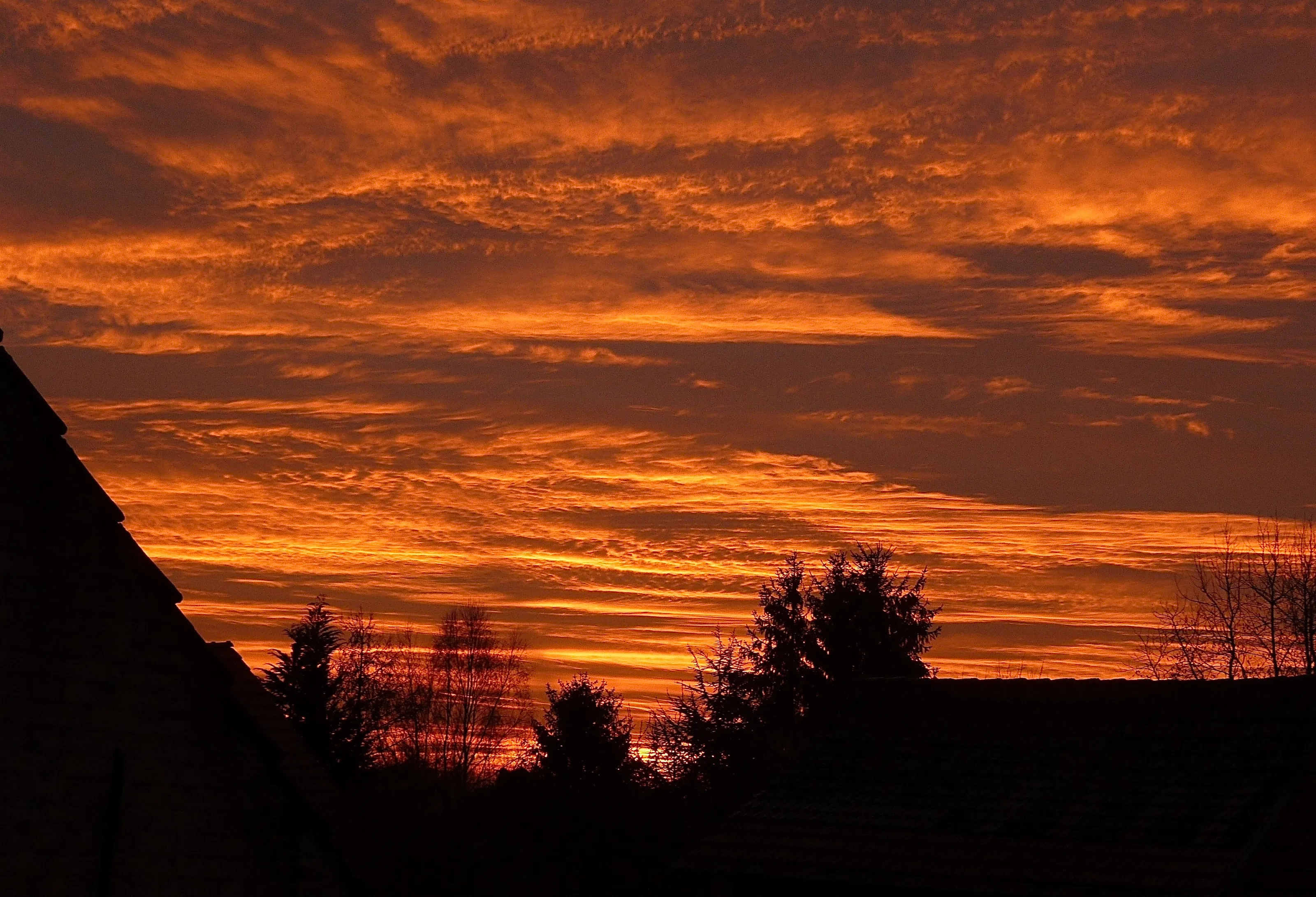 Sunset, trees and rooftops