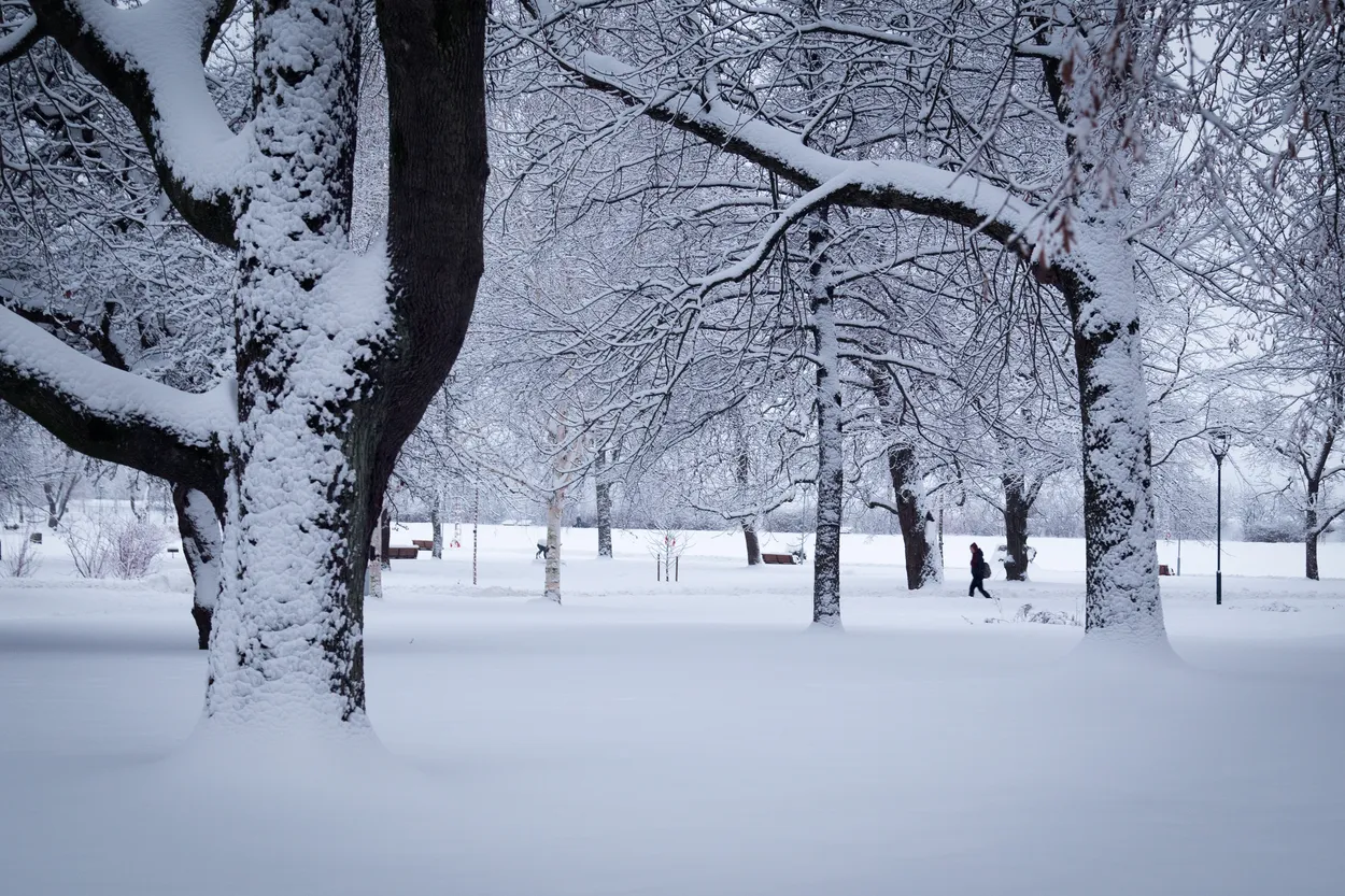 Entry 1561028