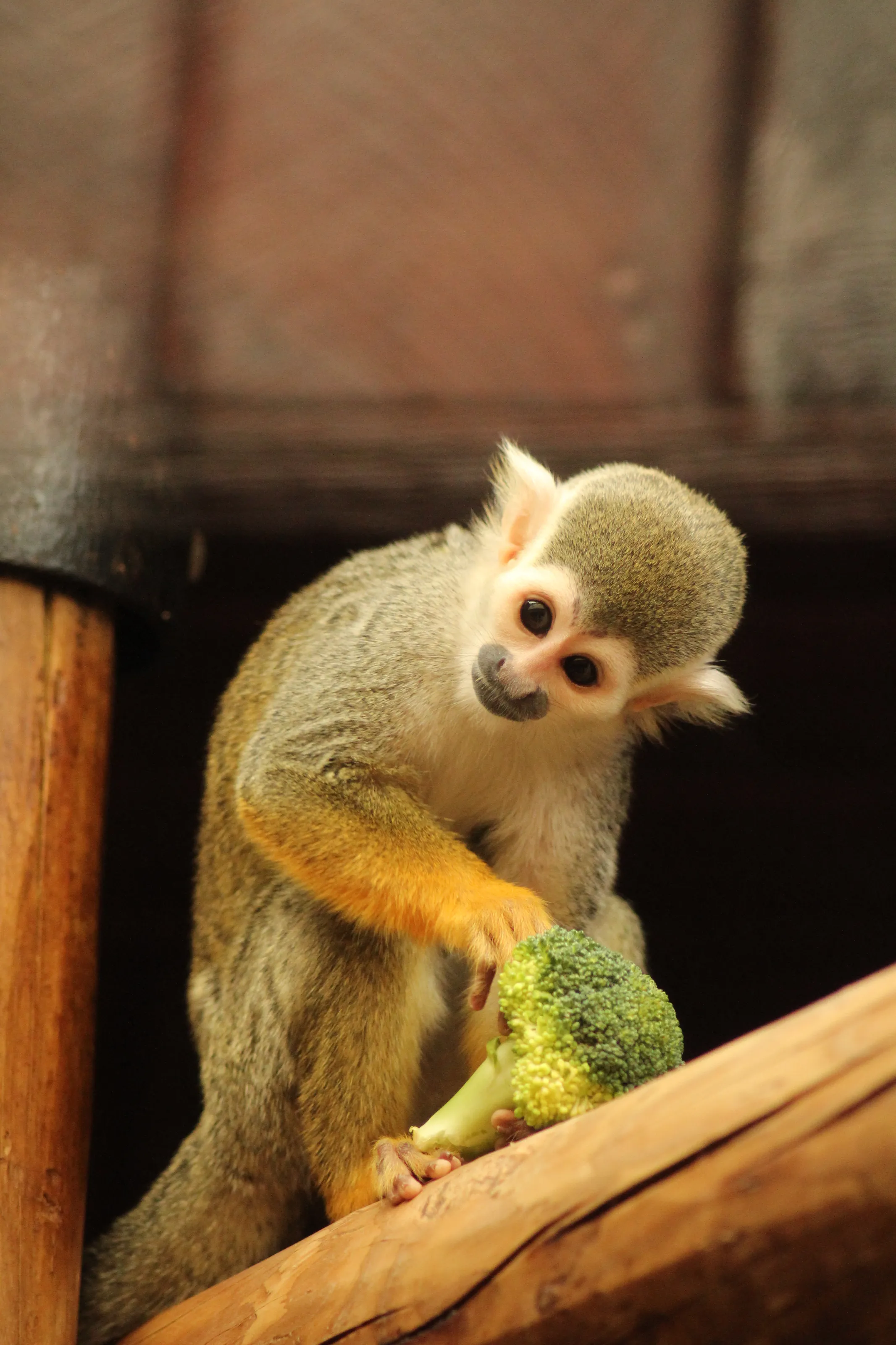 A Curious Nibble