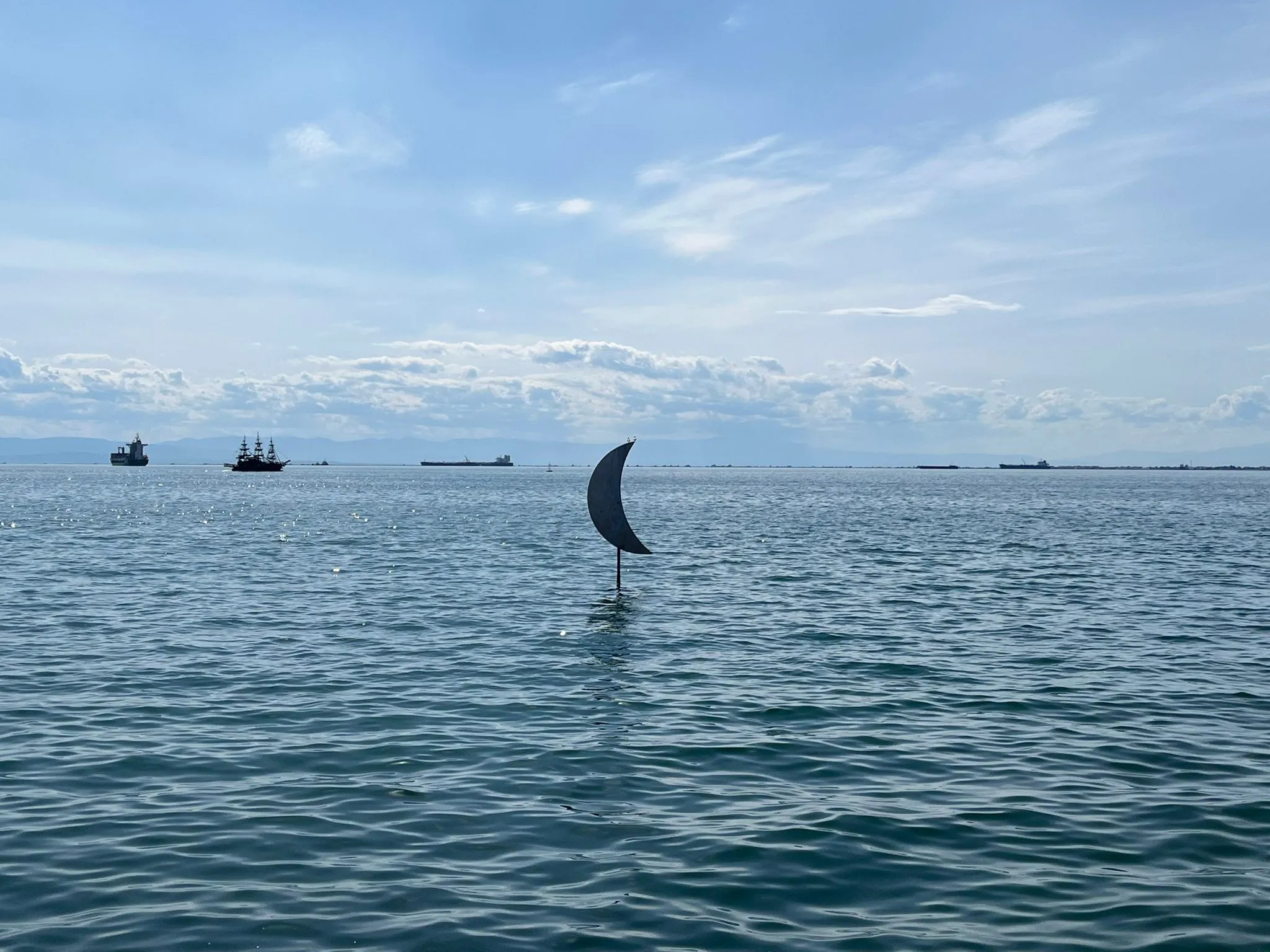 Surprise at the sea