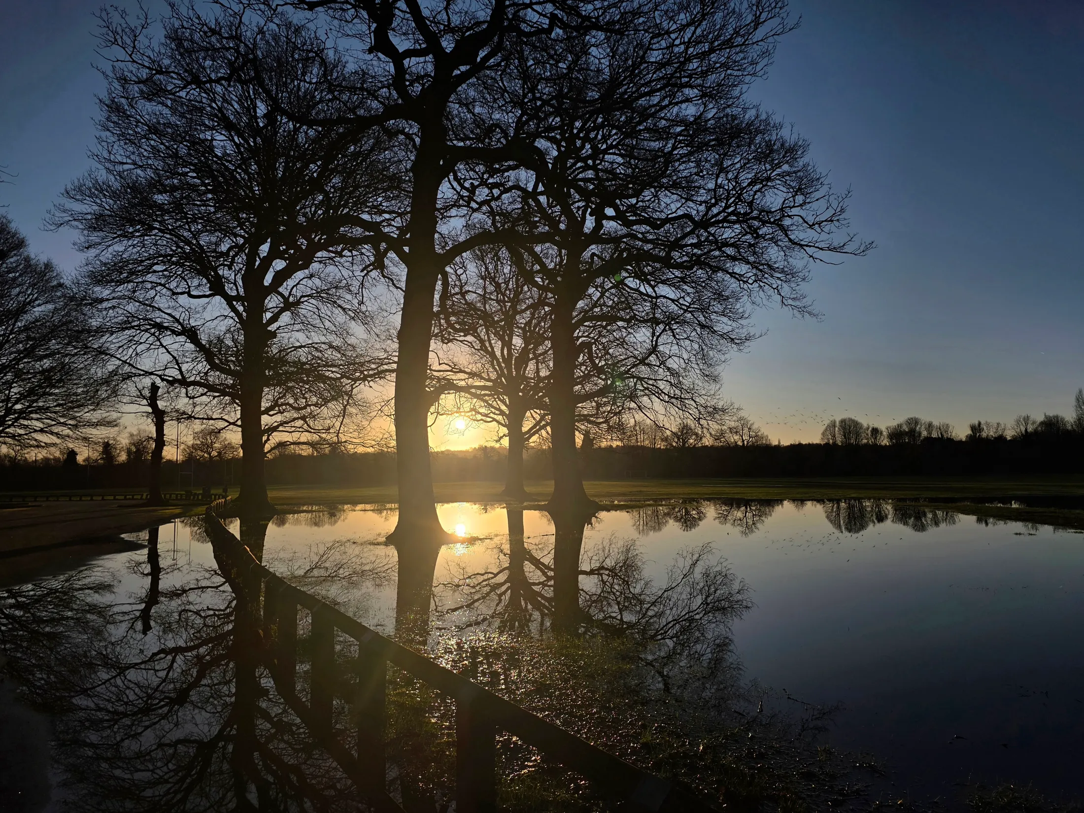 Morning walk at sunrise