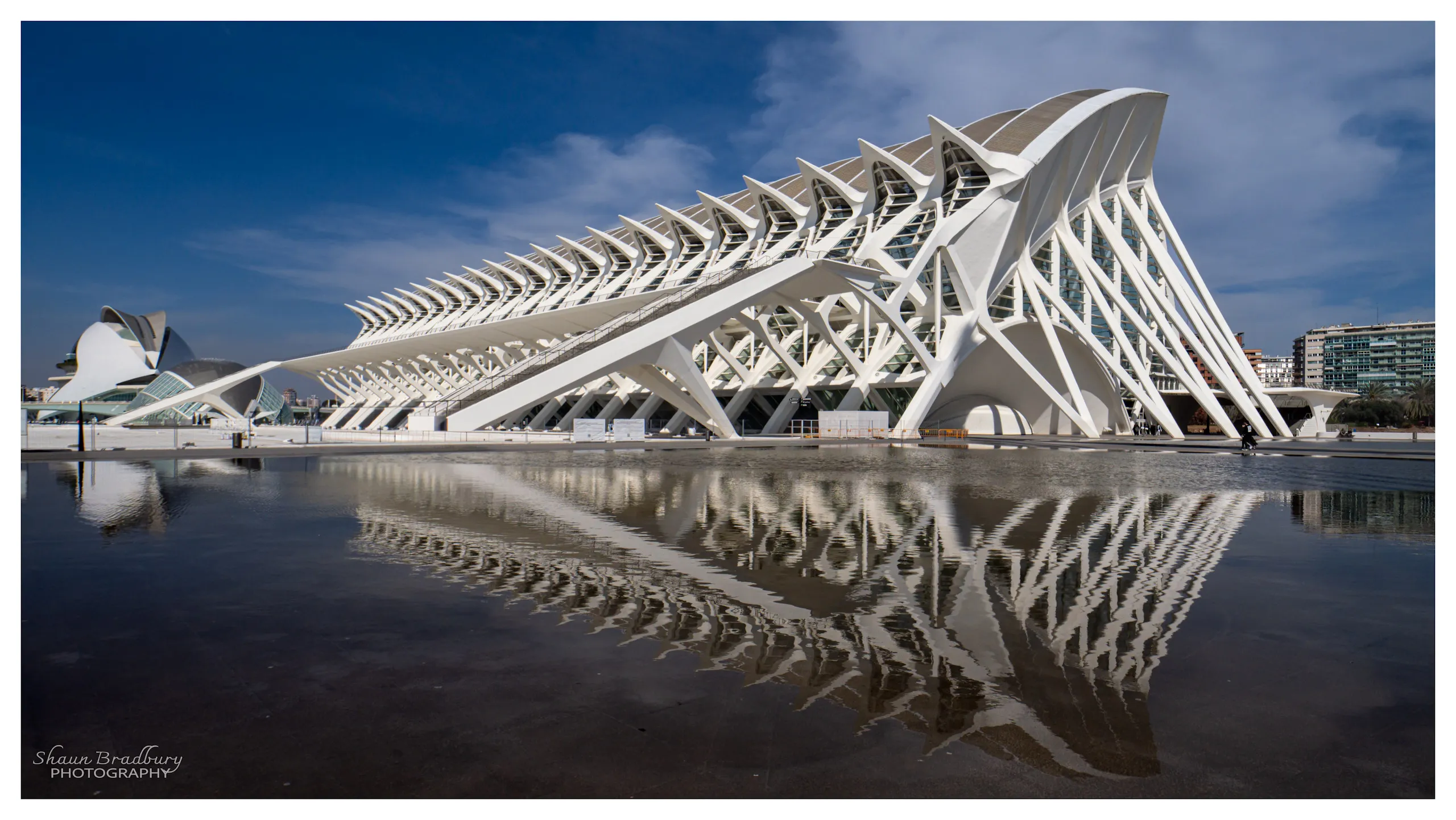 City of arts and sciences