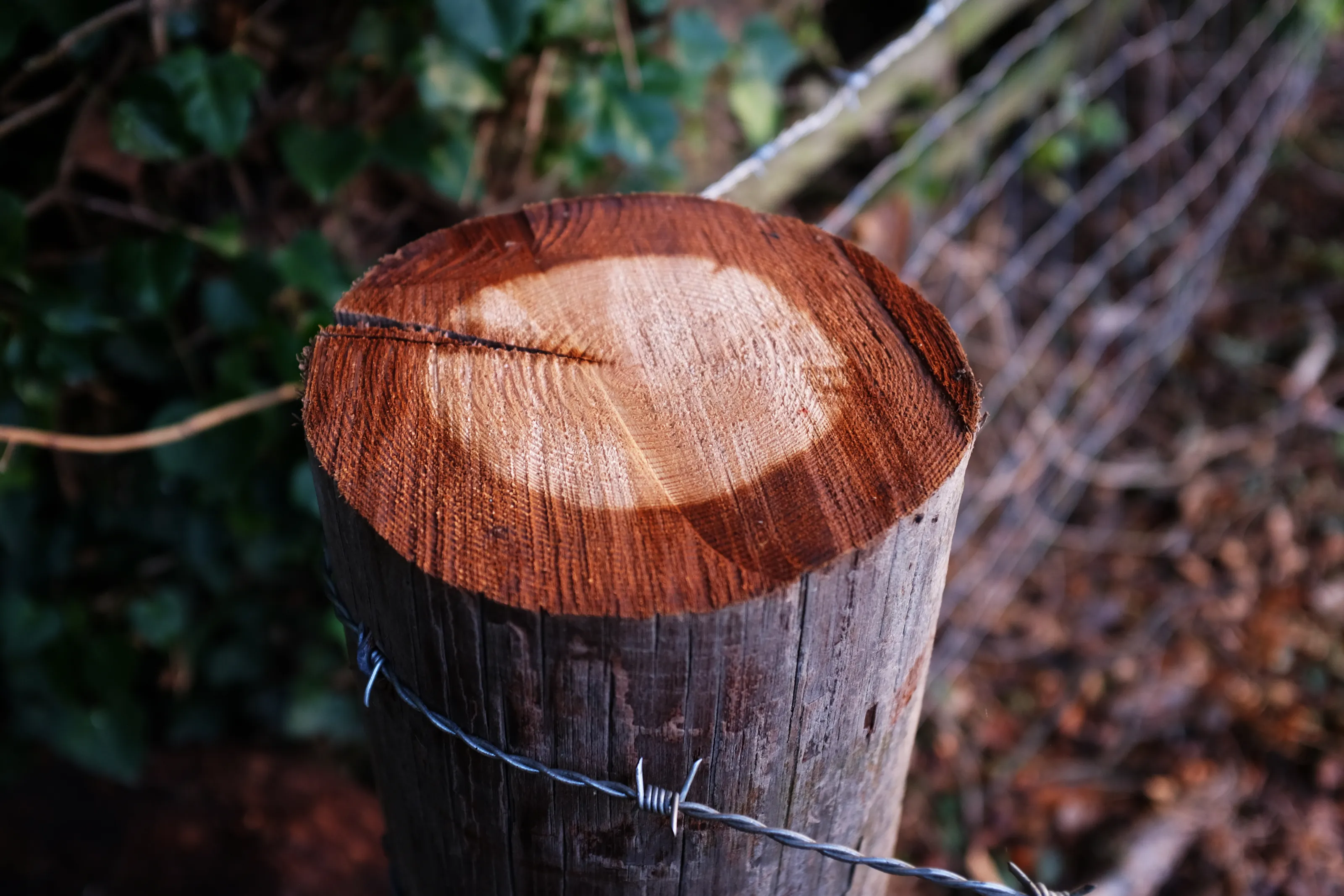 Nature's Barrier