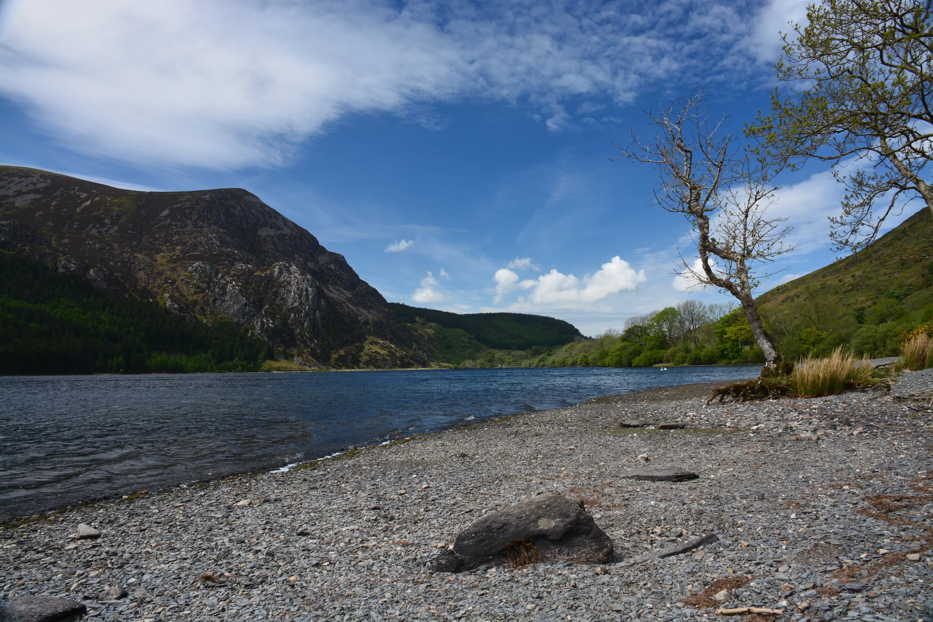 Llyn Cwellyn