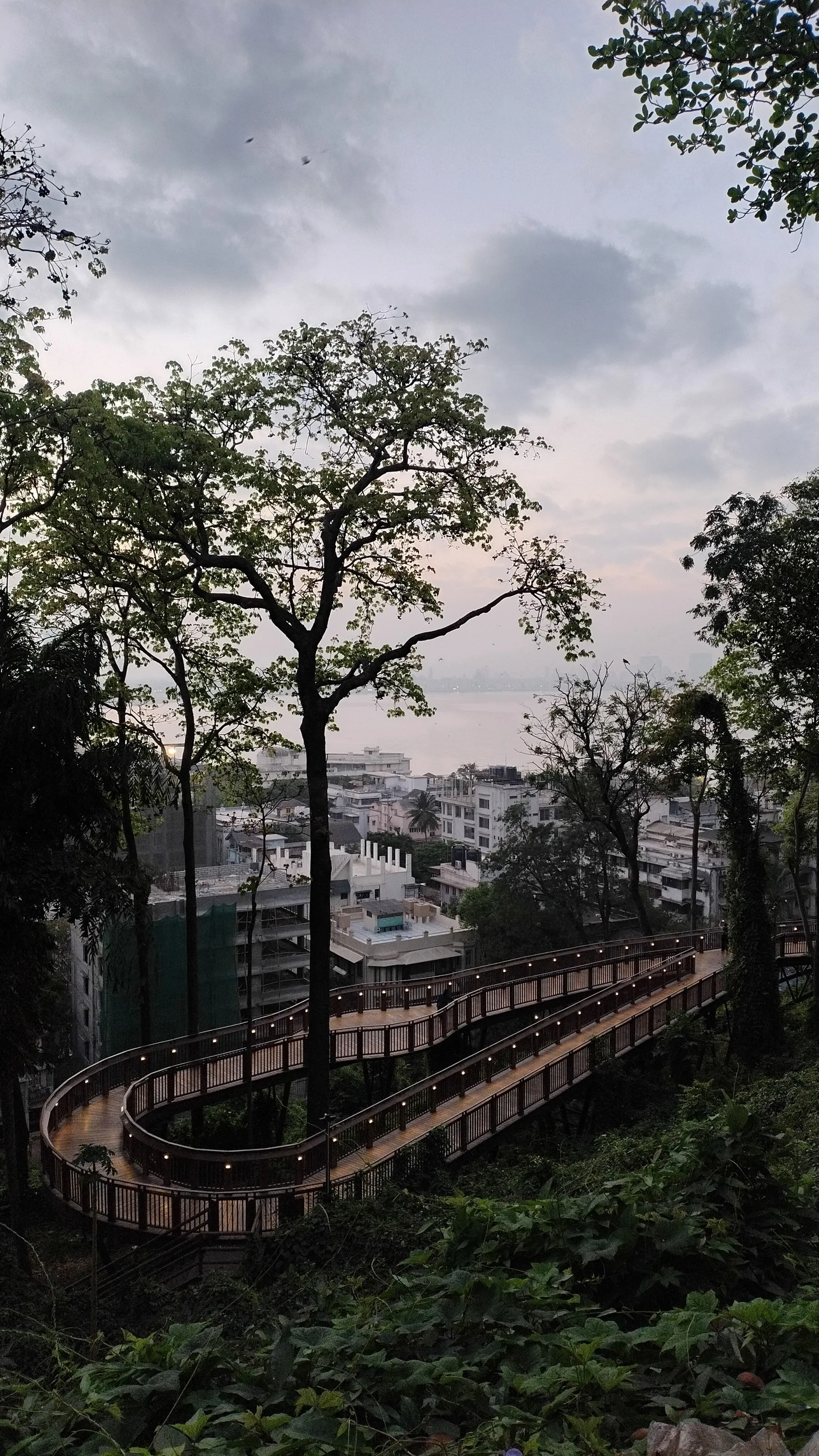 Evening Calm Above the City 🌿🌆