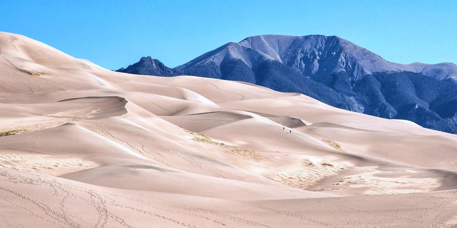 Trekkers Dwarfed by Wind-Swept Waves
