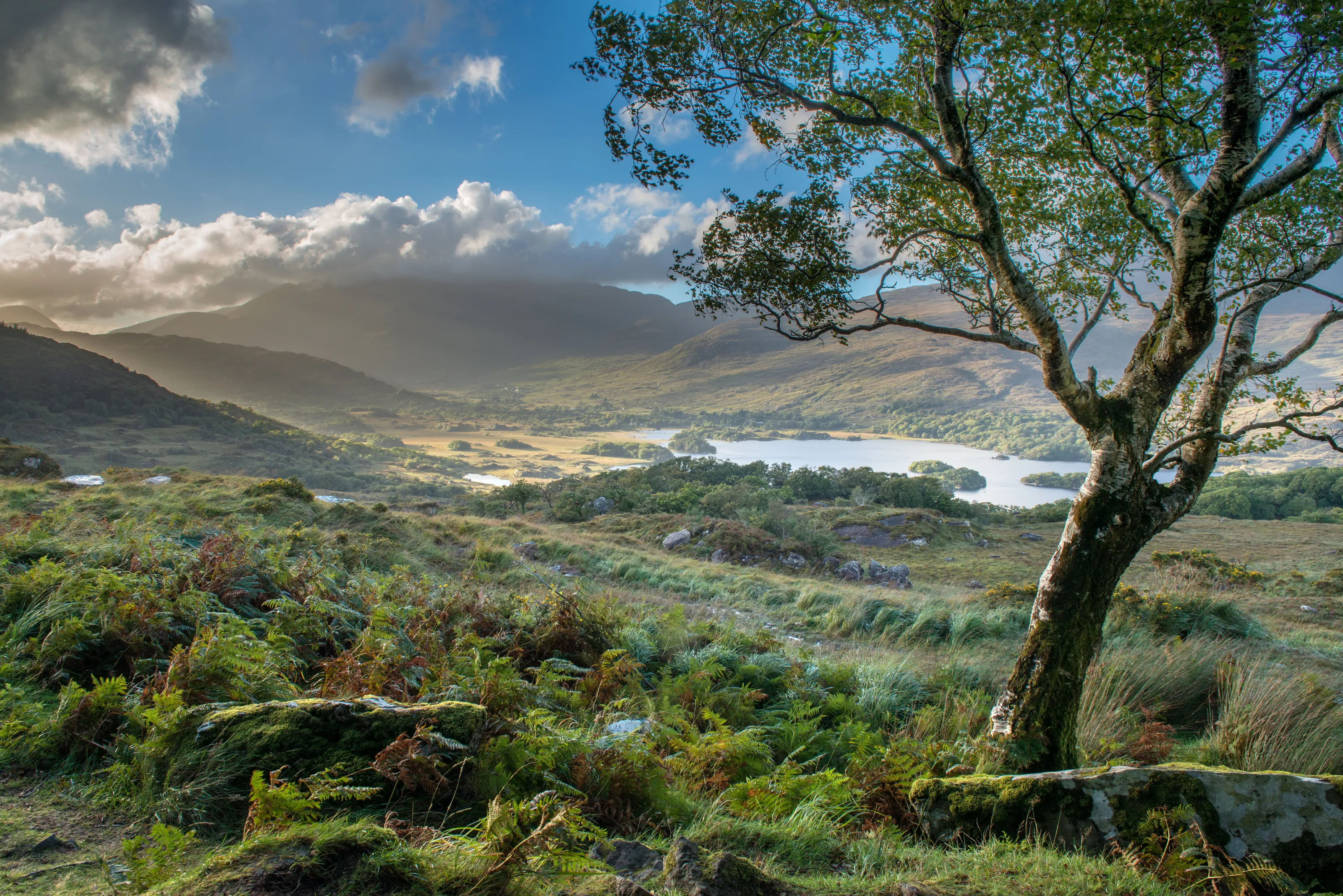 Irish landscape