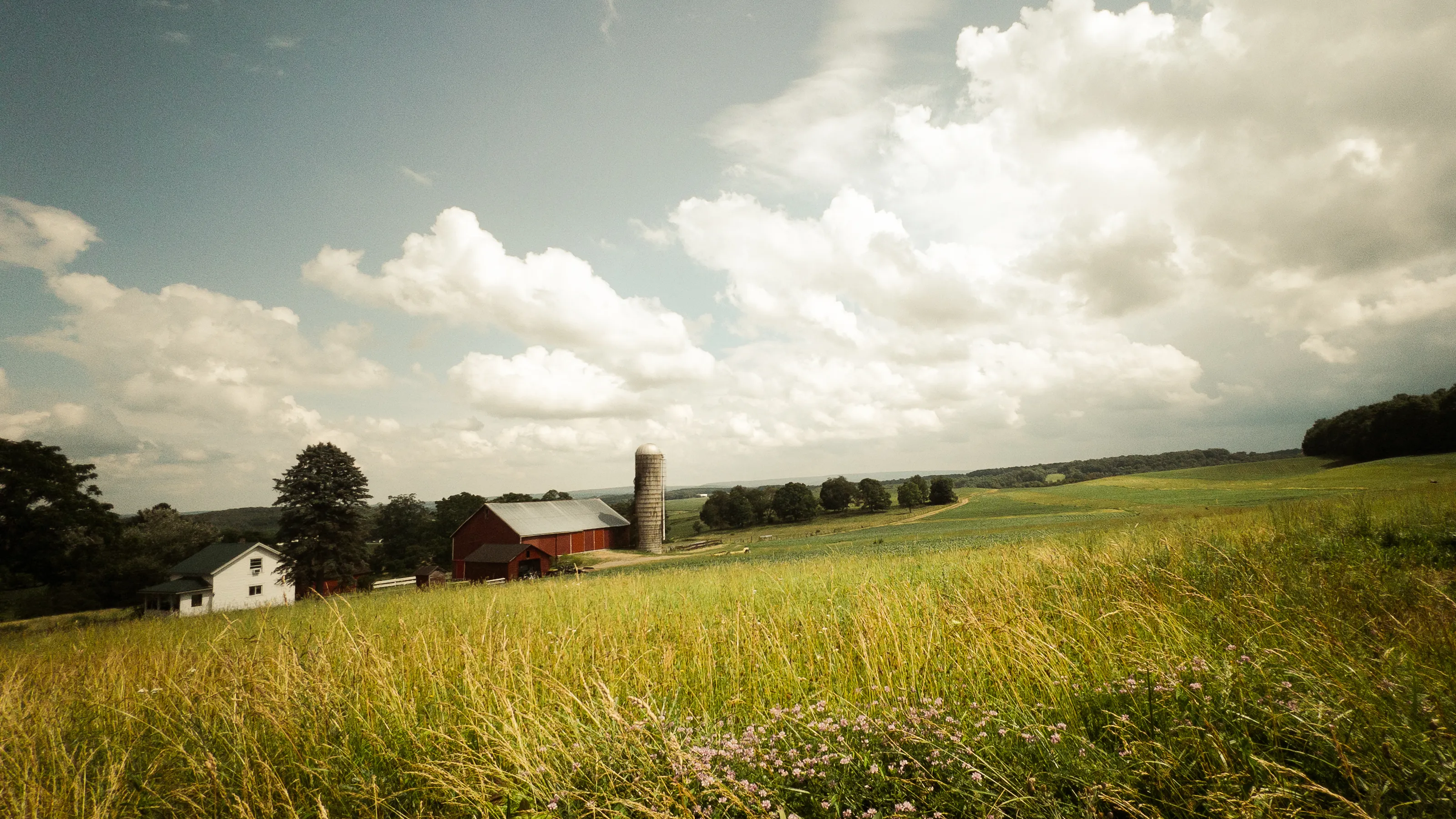 Somewhere for somebody USA