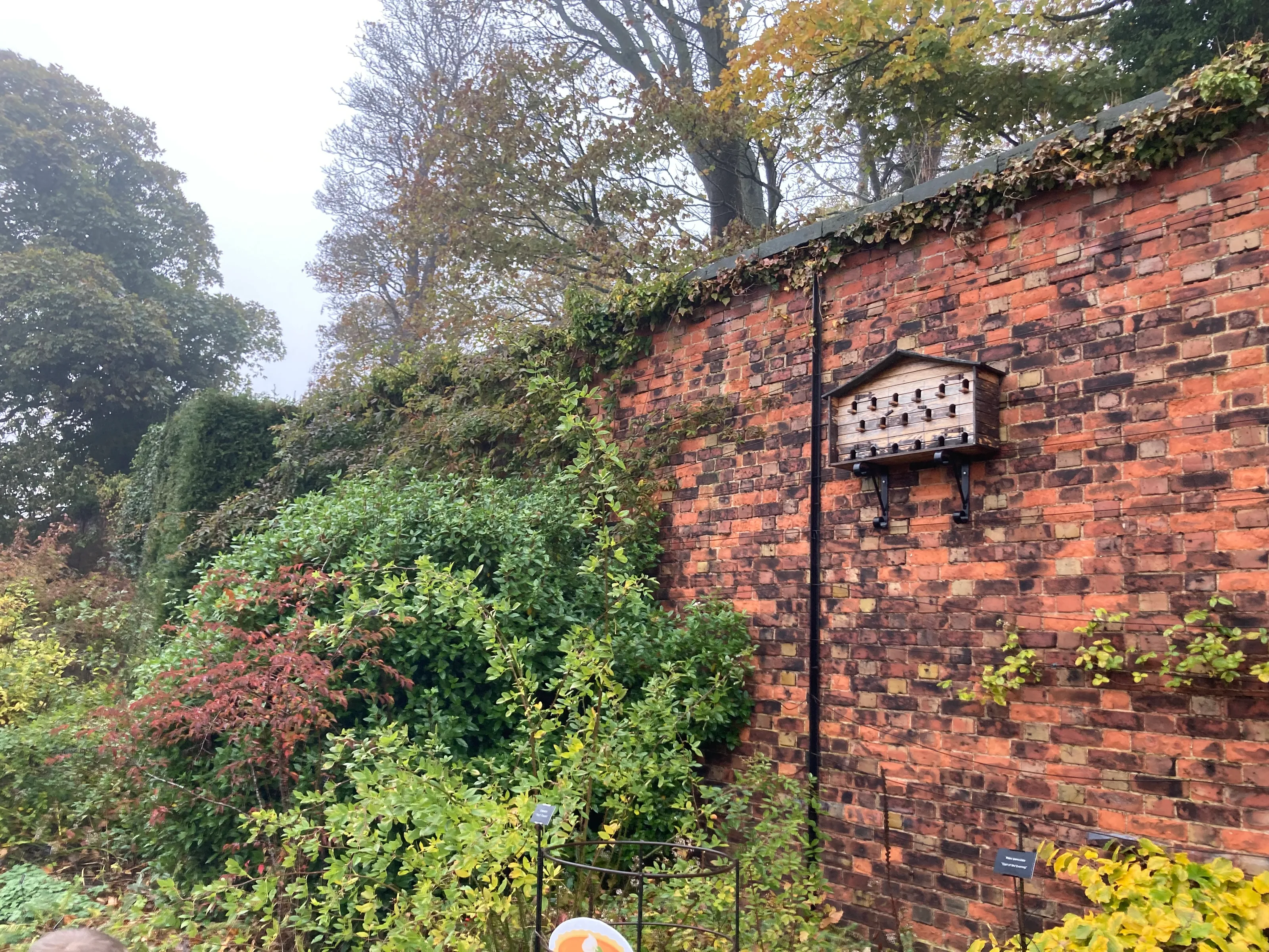 Brickwork of Manufactured Bricks (not stonework)