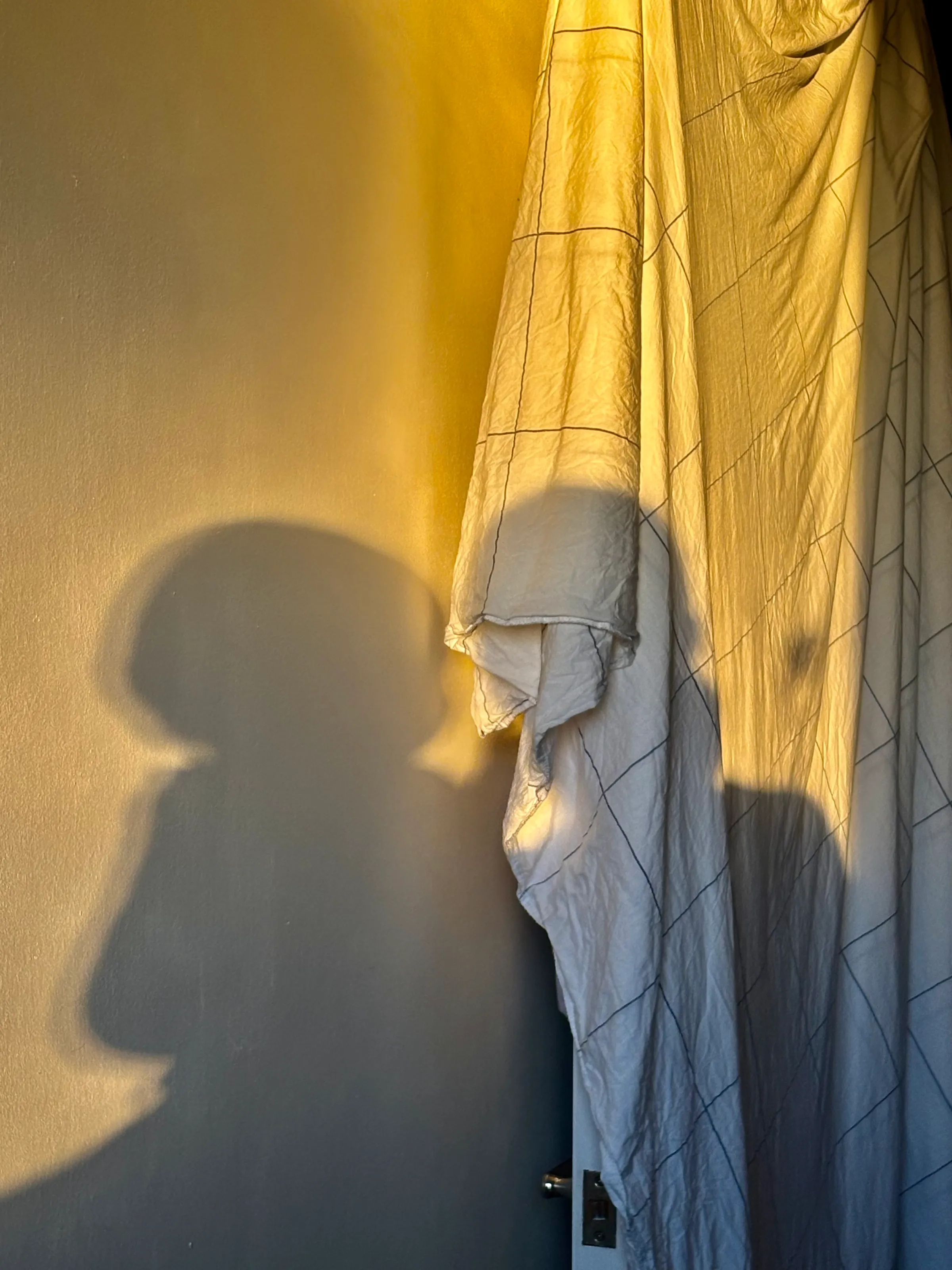 Morning shadows