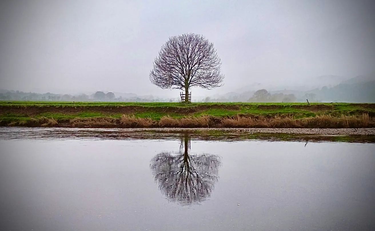 Lonesome Lune