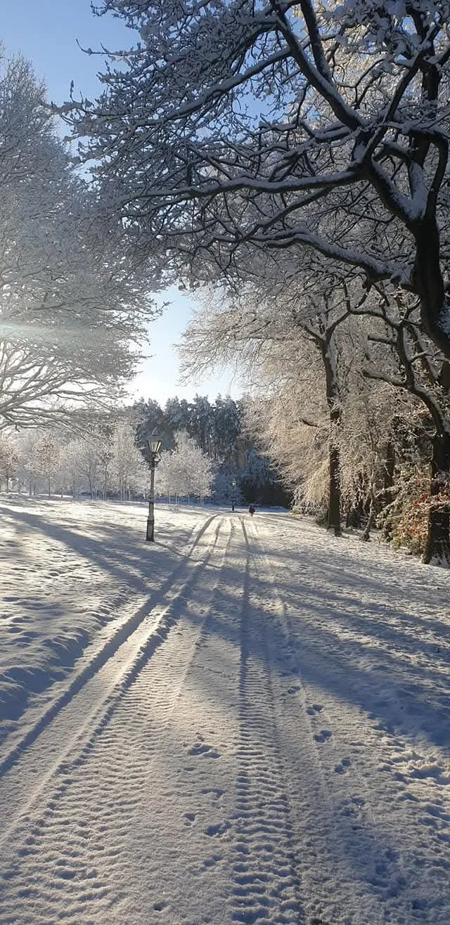 Winter path