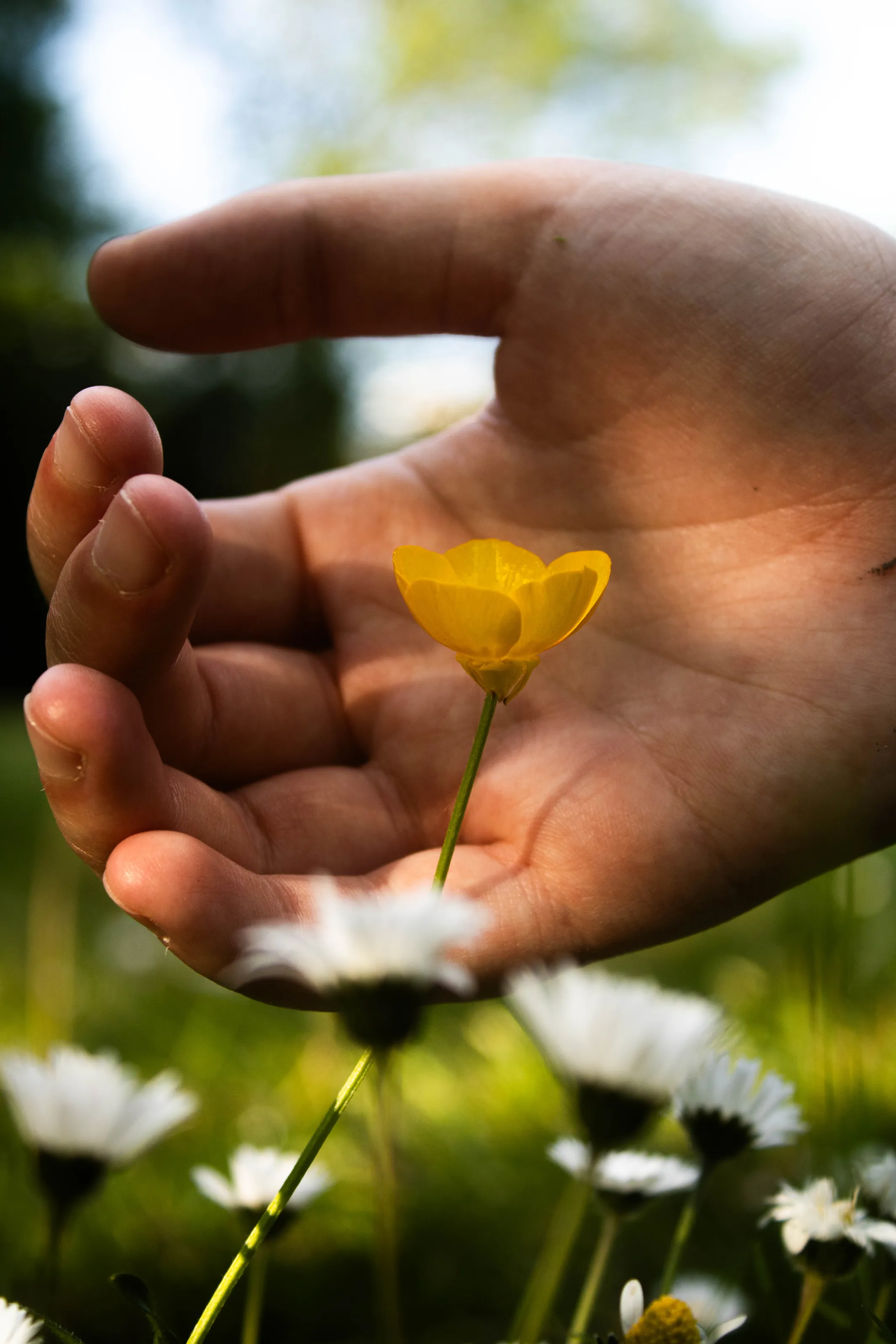 Natures gift