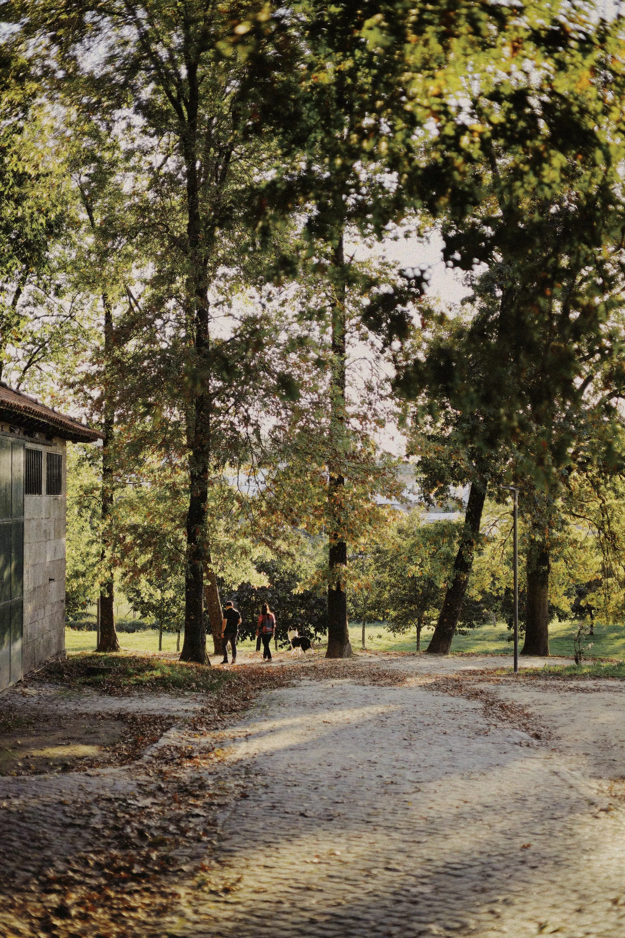 Peaceful Park Path
